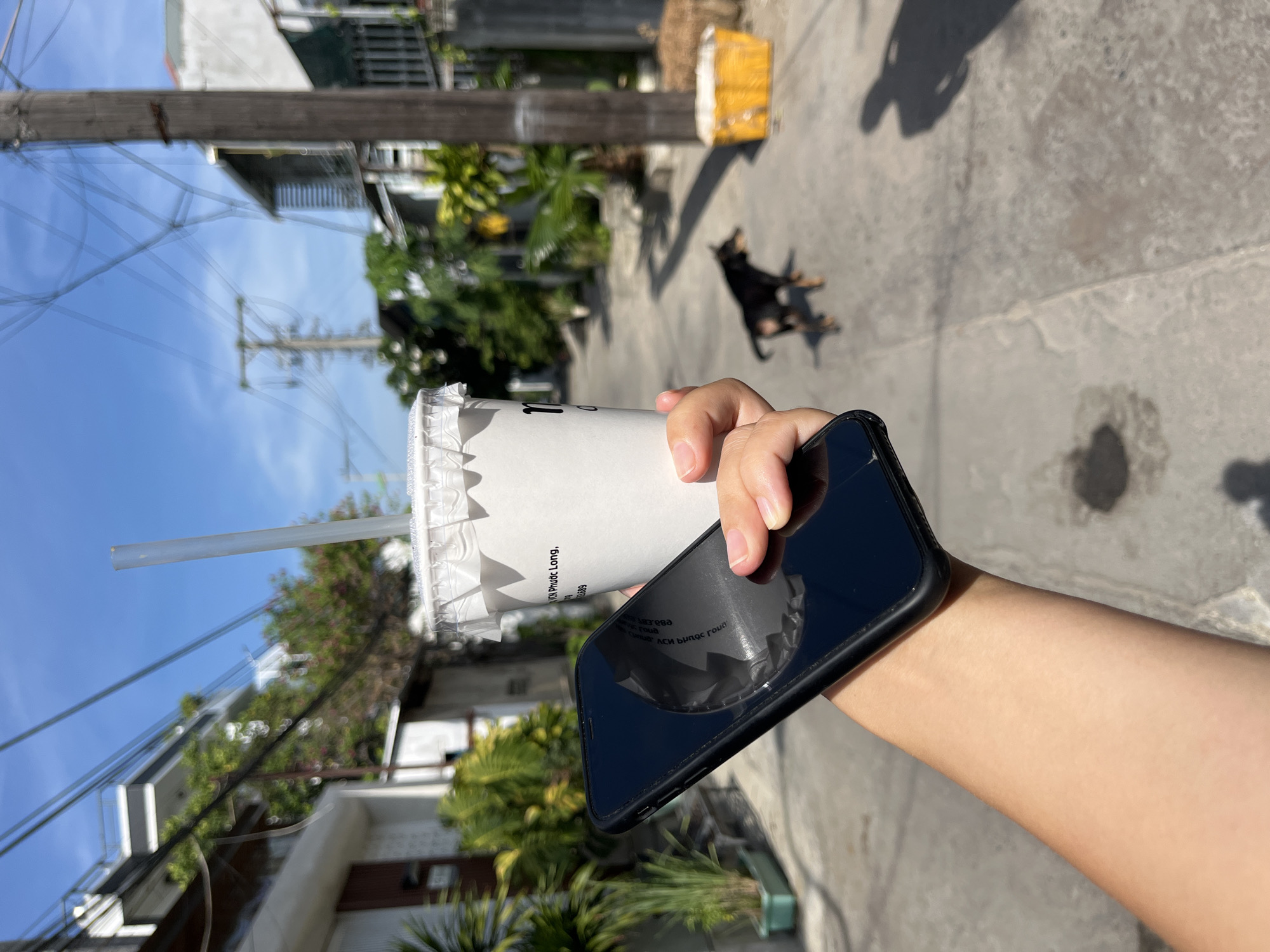 In Nam Nha Trang Ward, Vietnam, a person holds a smartphone and a takeout cup with a straw while standing on a street. The smartphone's black screen reflects the cup and the person's hand. The white paper cup has some text visible. In the background, a small black and tan dog walks away from the camera down the street. Various buildings and lush green foliage are present on both sides of the street, along with power lines and a utility pole. The sky is clear and blue.