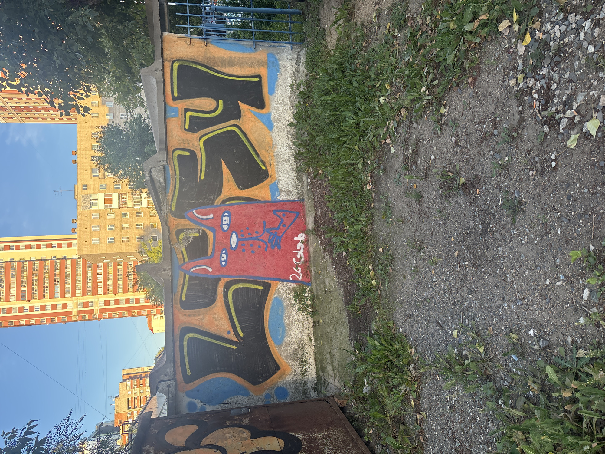 An outdoor view captures a graffiti-covered concrete wall. The graffiti features a red cat's face with blue accents and large black letters outlined in orange and yellow. The wall is situated in an urban environment, with multi-story apartment buildings visible in the background under a clear blue sky. Vegetation, including grass and weeds, grows around the base of the wall and in the foreground, which consists of dirt and gravel. To the left of the wall is a rusty metal door or gate. On the right, a blue metal fence is partially visible. The scene appears to be a public outdoor space in Novosibirsk, Russia.