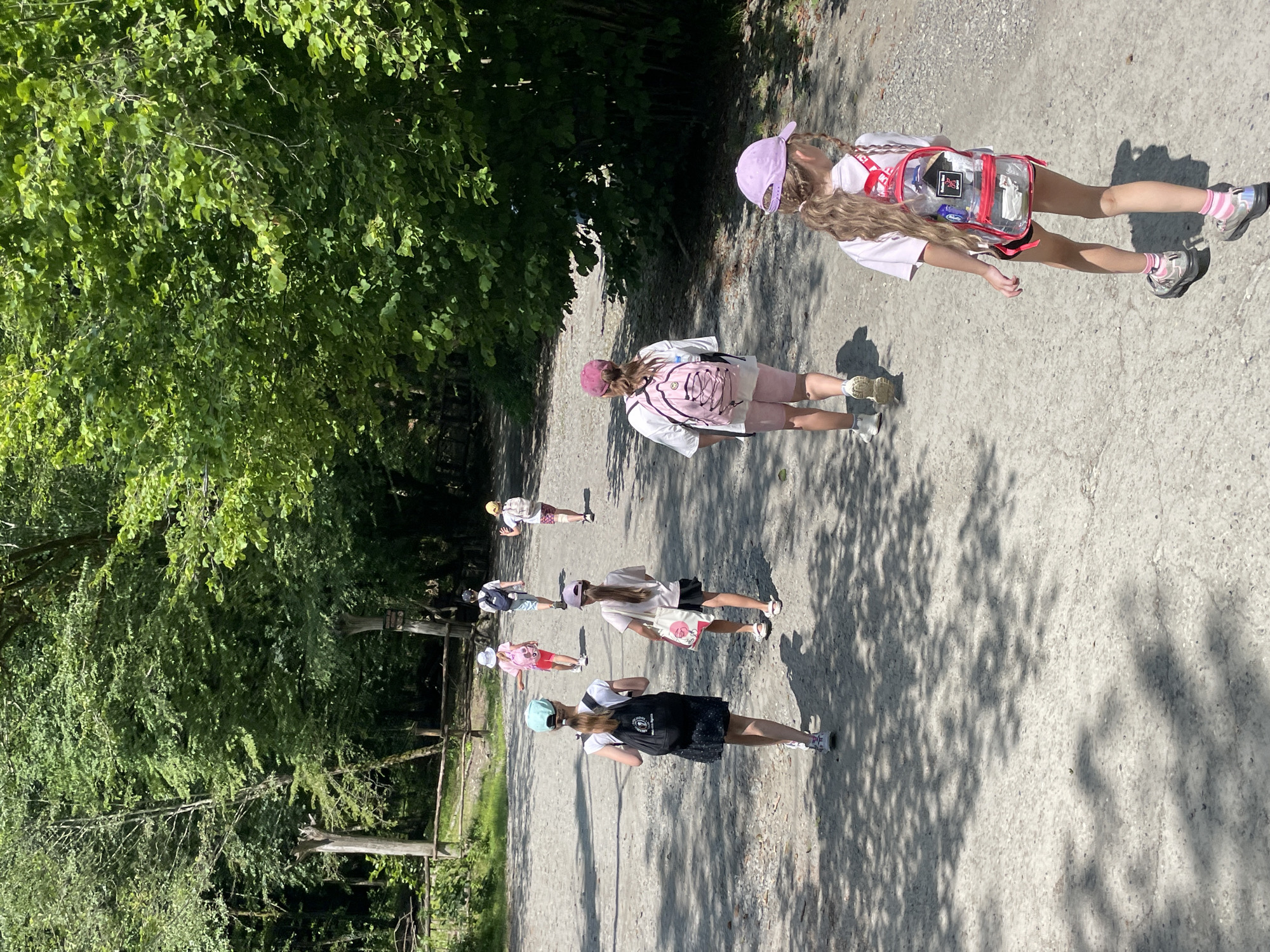 The image shows a group of children walking along a gravel path in a wooded area. The sun is shining, casting shadows of the trees onto the path. The children are wearing casual clothing and backpacks, suggesting they are on an outing or field trip. The scene is set in Bolshoy Sochi, Russia, a region known for its natural beauty and outdoor recreational opportunities. The overall mood appears to be lighthearted and adventurous, with the children seemingly enjoying their walk. No visible text is present in the image.