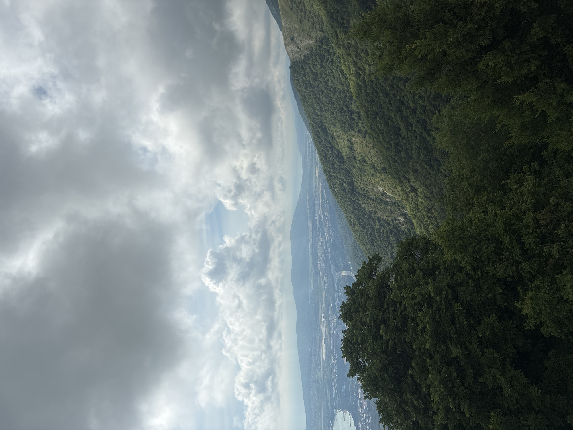This is an outdoor, high-angle, vertical shot captured on a cloudy day. The foreground features the tops of several dark green trees, obscuring the lower portion of the frame. Behind the trees, a lush, green mountainside slopes downwards and to the right. A town or city is visible in the midground, nestled between the mountains and a body of water on the left. In the distance, a hazy mountain range stretches across the horizon, partially obscured by a light-colored, diffused sky filled with large, dark clouds. The overall scene depicts a mountainous coastal landscape.