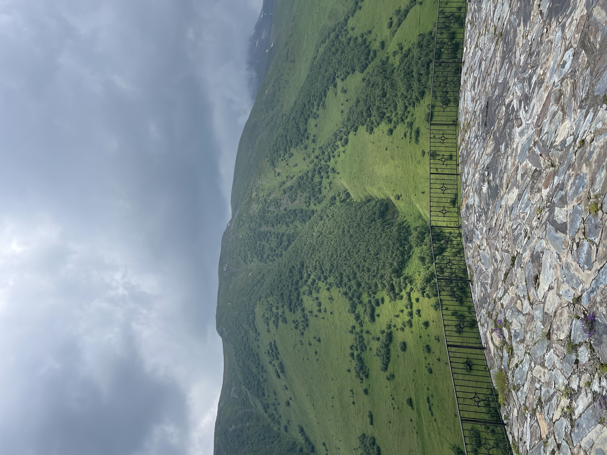 An overcast, cloudy day provides a muted light over a vast, green mountainous landscape in Stepantsminda, Georgia. In the foreground, a paved stone terrace with a dark metal railing overlooks a steep, verdant slope dotted with patches of trees. The mountainside, bathed in soft light, shows signs of erosion and varied vegetation, with some areas appearing as smooth grassland and others as denser wooded sections. The sky is filled with heavy, gray clouds, suggesting a cool or potentially rainy atmosphere. The scene is devoid of any people or immediate human activity, presenting a serene, natural vista.