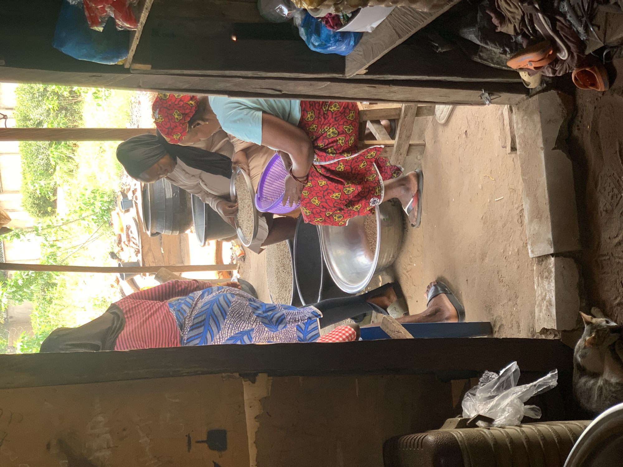 From an interior perspective in Lokoja, Nigeria, two women are processing grains outside, through what appears to be a window or doorway. One woman, wearing a headscarf and a patterned red skirt, sits on a stool and holds a purple sifter over a large metal bowl filled with grains. The other woman, wearing a head covering and light-colored clothing, is seated adjacent to her, seemingly assisting with the grain processing. The scene takes place in front of an outdoor area filled with greenery and sunlight. A third person can be seen from behind through the window, as well as a sitting cat on the right side of the image. There are many various objects stored in the area surrounding the women.