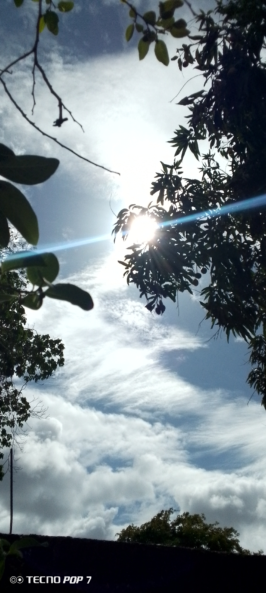 The image is a low-angle shot of the sky on a cloudy day, with the sun peeking through the clouds and branches of trees in the foreground. The sun is the brightest part of the image, with rays of light emanating from it. The clouds are a mixture of white and grey, and they are shaped like wisps and streaks across the blue sky. The trees are silhouetted against the sky, and their leaves are dark green. The bottom of the image shows a dark, blurry foreground which is likely a wall or the ground, with the text "TECNO POP 7" visible in white. The scene appears to be outdoors, possibly in a park or backyard. The image was likely taken in Altagracia, Venezuela, given the provided context.