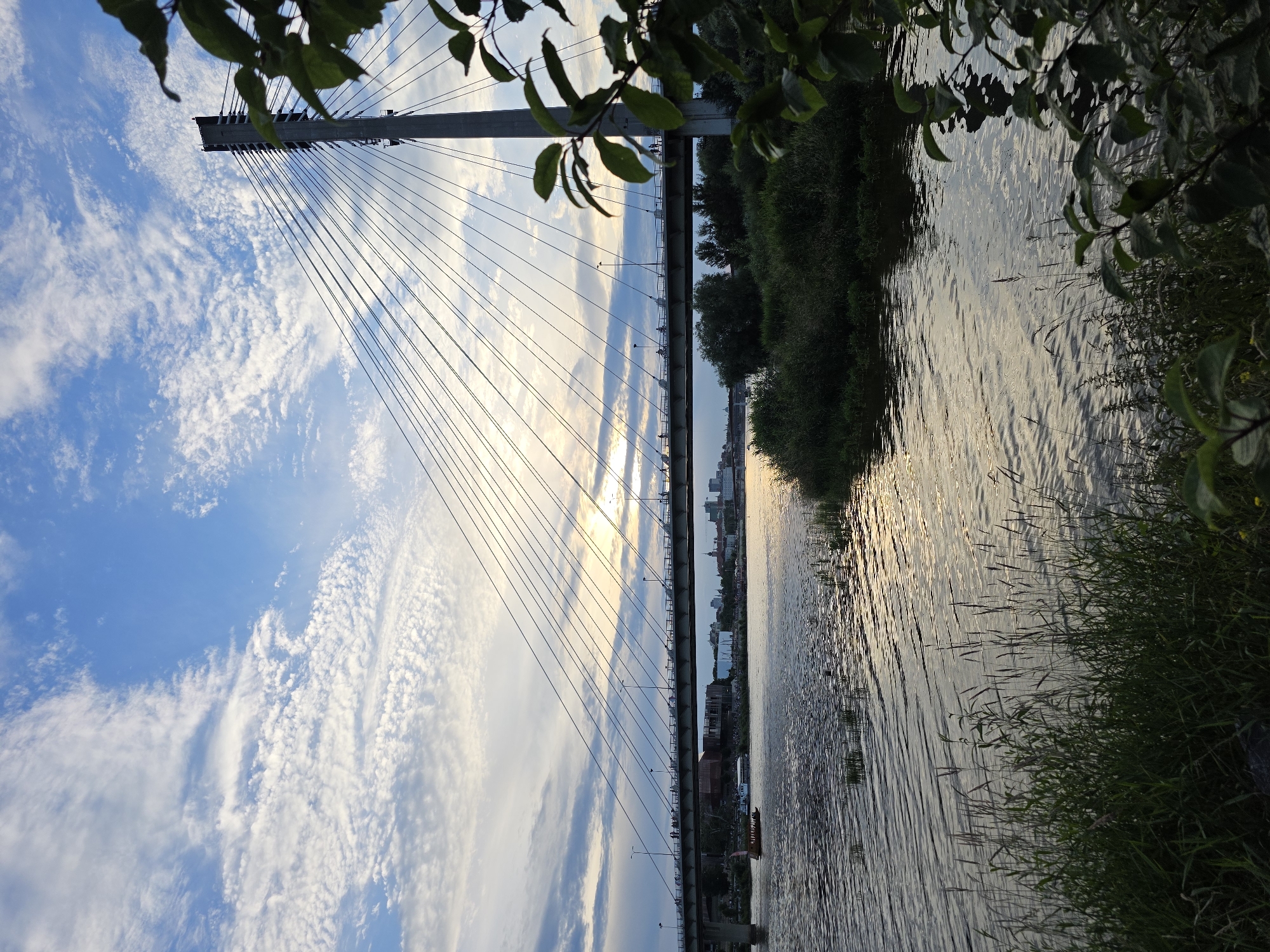 This is a vertical, eye-level, medium shot of the Świętokrzyski Bridge over the Vistula River in Warsaw, Poland, at dusk. The sky is filled with scattered, wispy clouds against a pale blue background. The sun is setting behind the bridge, casting a warm, golden glow that reflects on the water. A single, tall concrete pylon of the cable-stayed bridge dominates the right side of the frame, with numerous cables extending to the bridge deck. The bridge deck itself is long and spans the river, with small figures of people visible walking on it. A boat with a wooden superstructure is moving on the river in the middle ground. Lush green foliage, including trees and grass, lines the riverbanks and frames the scene on the right. The water is rippling, and the overall atmosphere is serene and picturesque.