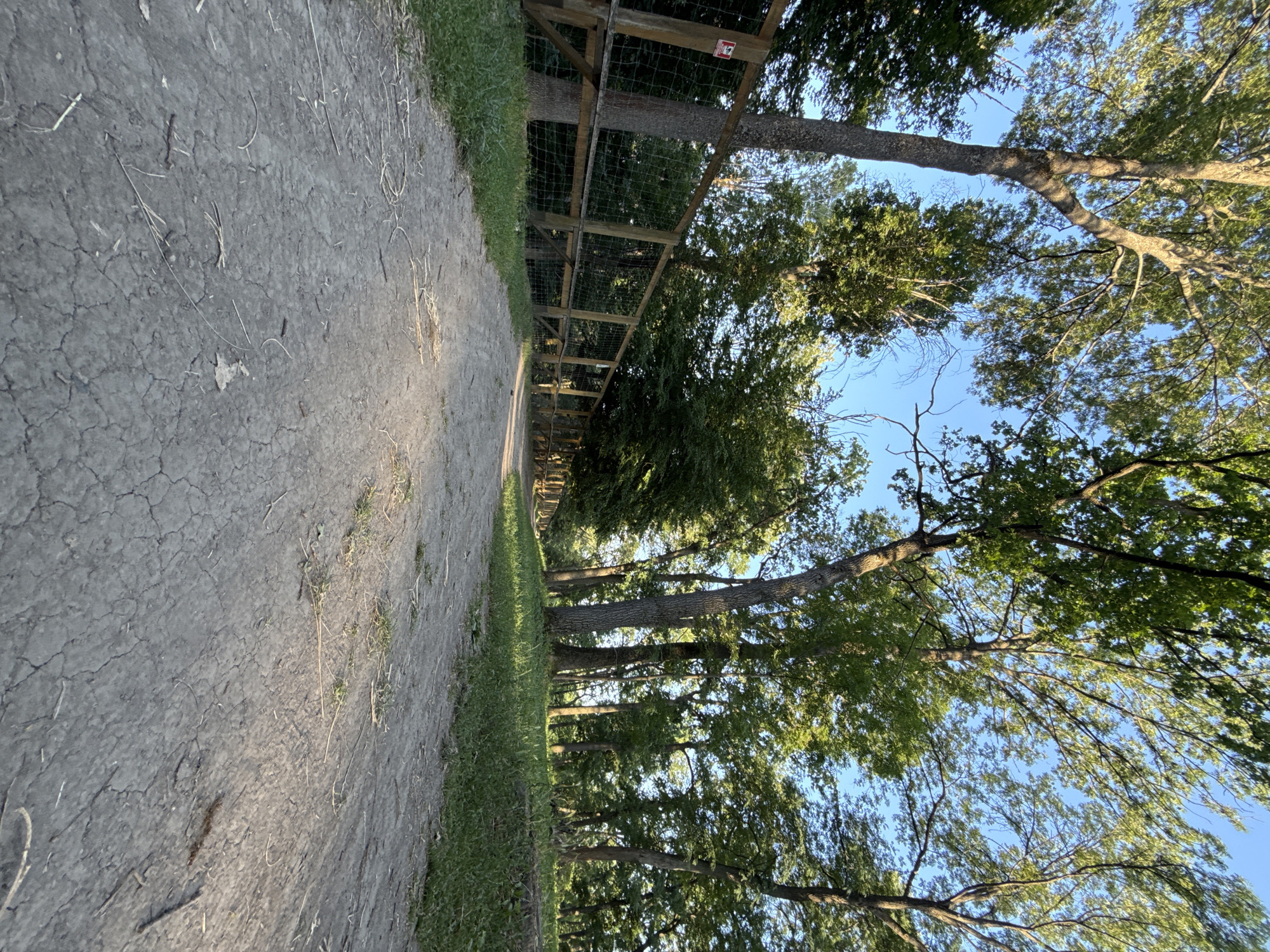 The image depicts a dirt path with grass on either side, leading into a wooded area. A wooden fence runs along the left side of the path, partially obscured by trees. The trees are tall and leafy, with sunlight filtering through their branches, suggesting it is daytime. The sky is clear and blue. There appears to be a sign attached to the fence, but the text is illegible. The scene evokes a sense of nature and tranquility.