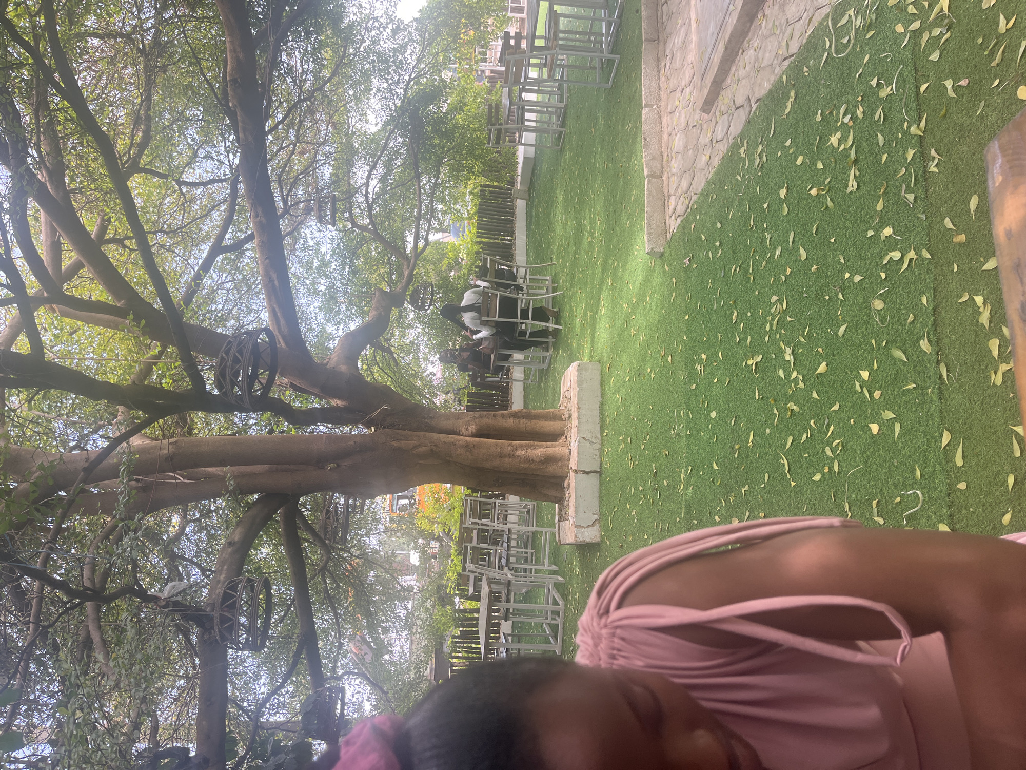 The image shows an outdoor scene, likely a restaurant or event space, in Jos, Nigeria. A large, mature tree with decorative metal spheres hanging from its branches dominates the left side of the frame. Tables and chairs are arranged on a green lawn. Some people are sitting at a table, engaged in conversation or a meal. The foreground contains a person wearing a pink dress, with their face partially visible. The ground is covered with fallen leaves. The lighting suggests it is daytime, possibly midday. A low wall or barrier runs along the right edge of the lawn.