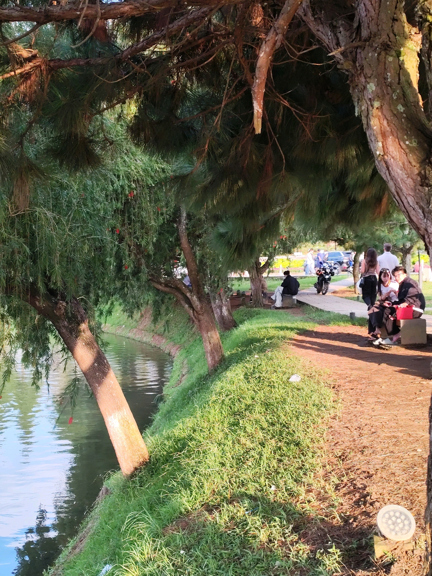 This image depicts Xuan Huong Lake in Da Lat, Vietnam, during daylight hours. The foreground is dominated by the dappled sunlight filtering through the dense foliage of pine trees, casting shadows on a dirt path and the adjacent grassy embankment. A tranquil body of water, likely part of Xuan Huong Lake, occupies the left side of the frame, its surface reflecting the sky and surrounding greenery.
In the middle ground, several individuals are visible. Two young women and a young man are seated on a concrete block on the right side of the path. The young man wears a black jacket and dark pants, while the women are dressed in casual attire, one in dark pants and a light top, and the other in a black top and dark, ripped pants. To the left of the path, a person is seated on another concrete block, wearing a dark jacket and white pants. Further in the background, a motorcycle is being ridden by a person wearing a helmet, and other individuals are walking or standing near parked vehicles. The overall atmosphere is one of a leisurely outdoor setting.