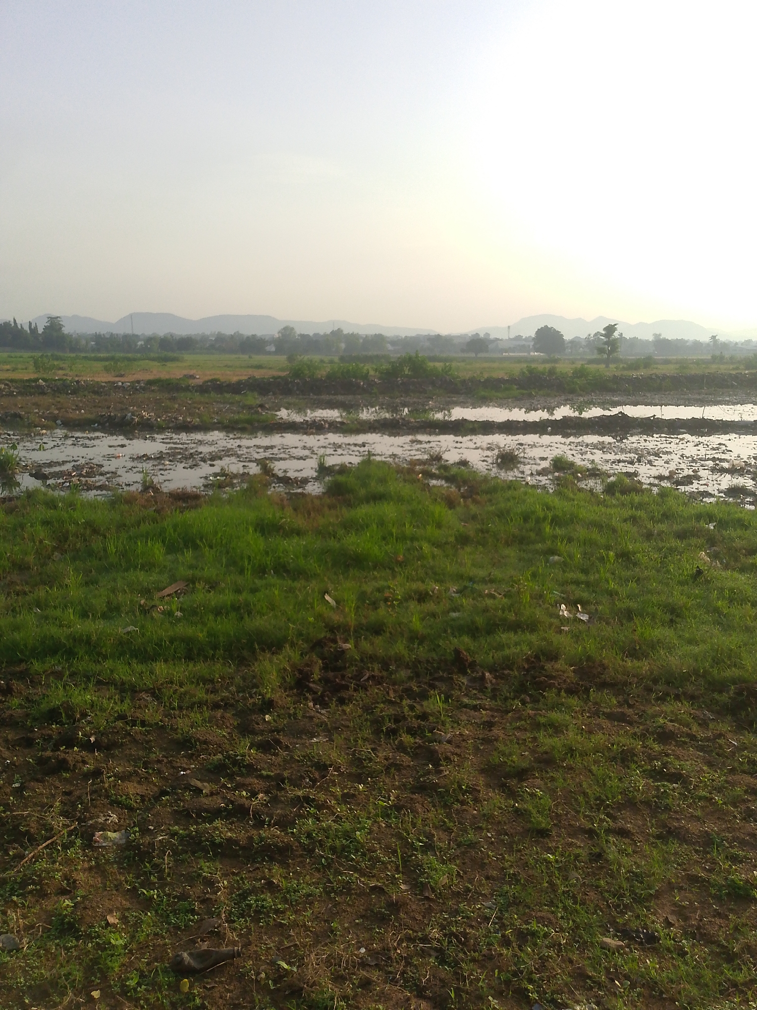 This image depicts an outdoor scene, likely in Jalingo, Nigeria, characterized by a waterlogged field filled with debris and surrounding vegetation. The foreground features rough, uneven terrain with scattered patches of green grass and brown soil. Some debris, including plastic waste, is visible on the ground. In the mid-ground, a wide expanse of shallow water covers a muddy area, reflecting the sky and littered with various types of refuse. Beyond this, a strip of greener vegetation marks the transition to the background. The background consists of a hazy landscape with distant hills or mountains, a few trees, and what appears to be sparse development. The sky is overcast and bright, suggesting daytime, possibly early morning or late afternoon due to the diffused light. There are no people or animals visible in the image. The overall impression is of an undeveloped or neglected area, potentially a construction site or a field used for waste disposal, contributing to an environmental concern.