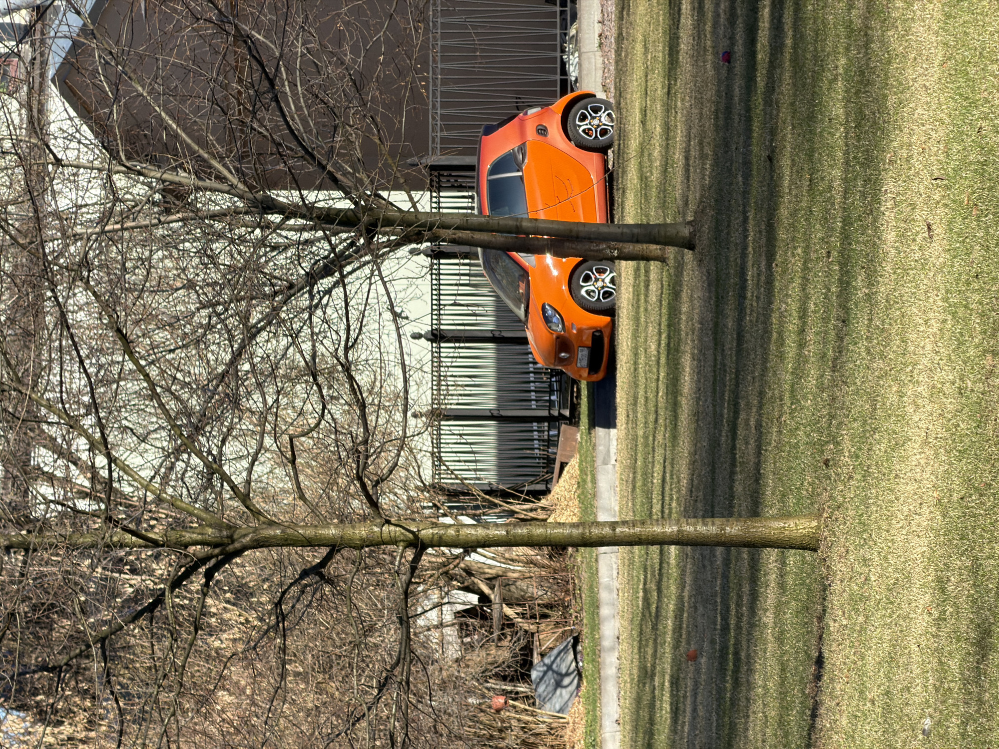 The image shows an orange Smart Fortwo car parked on a grassy lawn in Saint Petersburg, Russia. The car is positioned between two young trees without leaves. Behind the car is a fence, a building with a white facade, and what appears to be debris or construction materials. The foreground includes the branches of the leafless trees. The grass on the lawn is green and appears to be well-maintained.