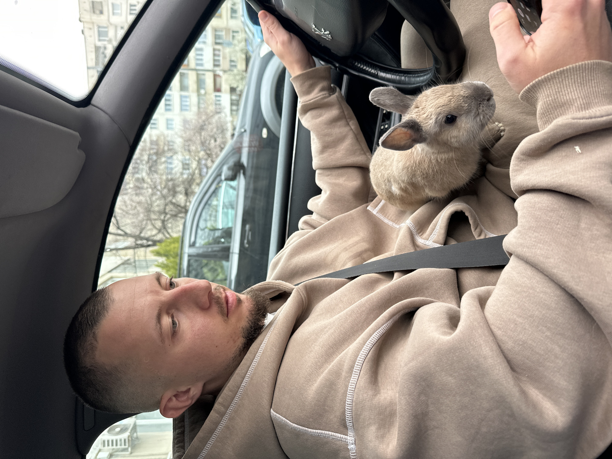 The photograph shows an adult male inside a vehicle, possibly a car, with a rabbit perched on his chest. The man has light skin, a short haircut, and facial hair, and he is wearing a tan hoodie. He is positioned behind the steering wheel of the vehicle, and a seatbelt is visible across his chest. His hands are on the steering wheel and on the rabbit.
The rabbit is light brown and gray, resting comfortably on the man's chest. The scene is set inside the car, and through the windows, a cityscape is visible with buildings and bare trees, suggesting an urban environment, possibly a city. The exact location within the city of Unknown, Unknown is not discernible from the image.