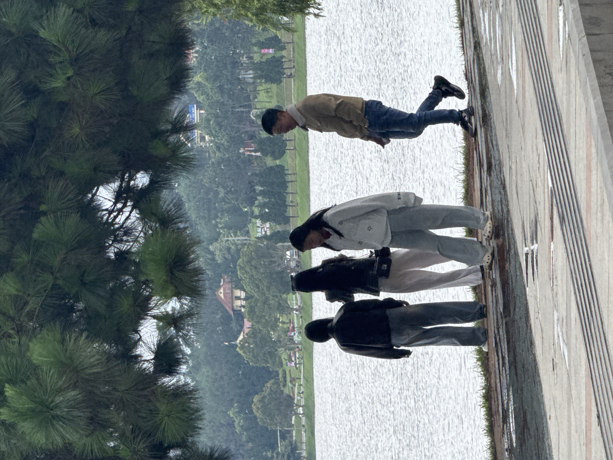 The image captures an outdoor scene in Da Lat, Vietnam, featuring four individuals on a paved walkway beside a large lake. On the left side of the frame, dense pine trees are prominent, their needles creating a textured green mass. The expansive body of water fills the midground, its surface showing subtle ripples. Across the lake, a distant shoreline reveals more greenery and several buildings, including one with a reddish-brown roof and others with blue roofs, partially obscured by a slight haze.
Four people stand on the grey paved path. From left to right, as they appear in the image: an individual seen from behind in a black jacket and grey jeans; next, a person wearing a black jacket and light-colored trousers, carrying a black shoulder bag; then, a figure in a light grey hoodie (with faint "CIN" text visible) and light pants, looking downwards; and finally, a male figure in a tan jacket and blue jeans, looking out towards the water.
The scene appears to be set during daytime, likely under an overcast sky, as indicated by the soft, diffused lighting and the absence of harsh shadows. The weather seems calm and tranquil. The individuals are casually standing and observing their surroundings by the lake. Beyond the faint "CIN" on the hoodie, any other visible text, particularly on distant buildings, is too blurry to be read.