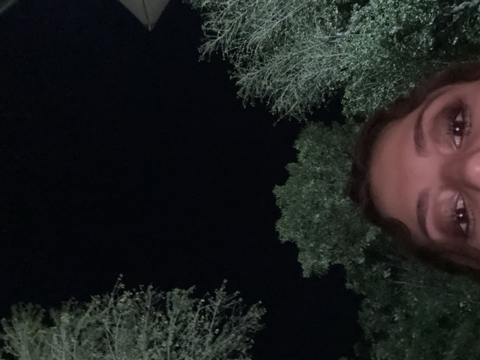 The image displays an inverted vertical perspective of a nighttime outdoor scene, located in San Bernardino Tlaxcalancingo, Mexico. The majority of the frame is consumed by a dark, featureless sky, indicating low light conditions.
In the upper right quadrant, the partially visible face of one human individual is present, oriented upside down. Visible features include brown eyes, dark eyebrows, the bridge of the nose, and portions of the forehead and cheeks. The individual's skin tone appears warm, and dark hair frames the visible facial area. The gaze is directed towards the camera.
The lower and left sections of the image are occupied by the canopies of multiple trees, characterized by green foliage. These trees are depicted against the dark sky, exhibiting some ambient illumination on their leaves.
In the extreme upper left corner, a small, light-colored, pointed architectural element is faintly discernible against the dark background. No discernible actions or interactions are depicted beyond the direct gaze from the individual.