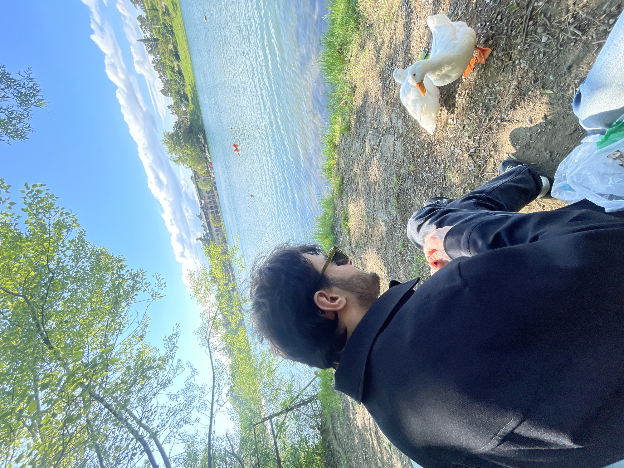 A man sits on the ground by a body of water, with two white ducks nearby. He has dark hair and a beard, and is wearing sunglasses and a dark jacket. He is looking towards the water. The water is blue and appears to be a lake or river. On the other side of the water, there are buildings and trees. Trees are visible on the ground by the man. A partial plastic bag is on the ground. The sky is blue with some clouds.
The image was likely taken in Tbilisi, Georgia, specifically at Turtle Lake, based on the presence of the lake, surrounding greenery, and urban background typical of the area.