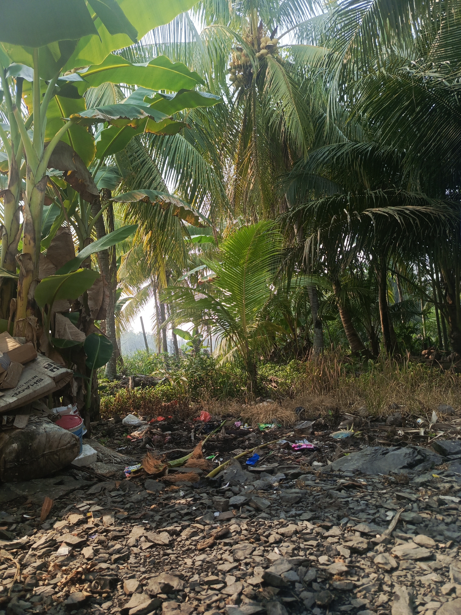 The image depicts a scene of environmental neglect in Merubung, Indonesia. In the foreground, a pile of rocks and debris covers the ground, interspersed with various pieces of trash including plastic bottles, wrappers, and torn bags. Among the garbage, there are also remnants of coconuts and dried palm fronds, suggesting the presence of coconut trees in the vicinity. To the left, a stack of cardboard boxes, one bearing the label "SHARP MESIN CUCI", is piled next to a red and white bucket, and a large, round object wrapped in rope. Behind the debris, lush vegetation dominates the scene, with tall banana trees on the left and numerous coconut trees filling the background, their fronds creating a dense canopy. The sunlight filters through the leaves, casting dappled shadows. The overall impression is one of natural beauty marred by human-generated waste.
