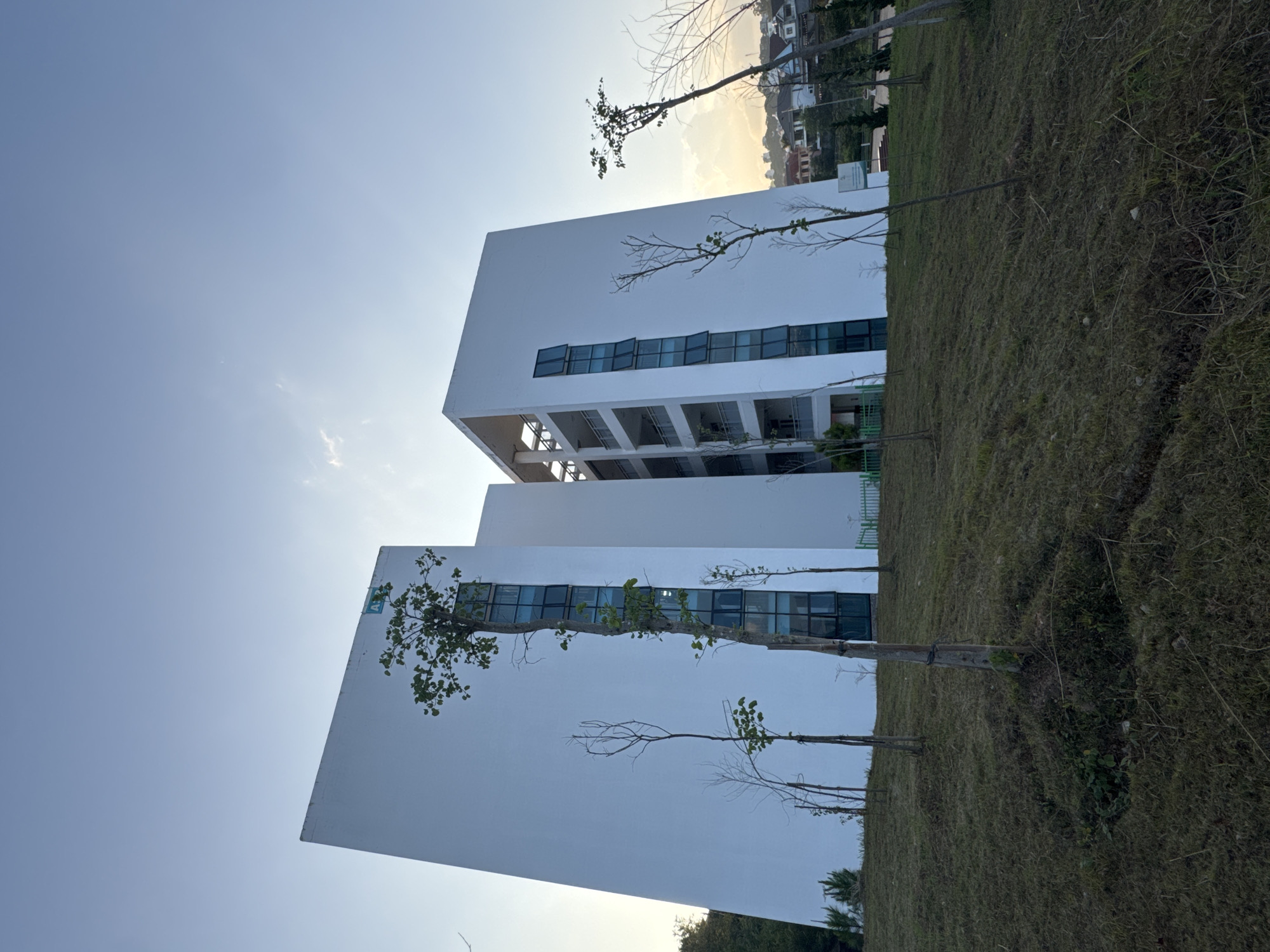 The image depicts a modern white building with a unique, angular architectural design, set against a clear blue sky with hints of sunlight filtering through. The building appears to be multi-story with a series of large, vertical windows. In the foreground, a sloped grassy hill is dotted with several small, sparsely leaved trees, some of which are bare. The landscape suggests a semi-urban or suburban environment, with a glimpse of residential buildings and trees visible in the background to the right. The overall scene conveys a sense of tranquility and modern design integrated with nature. The location is identified as Lâm Viên - Đà Lạt, Vietnam. There are no people visible in the image.