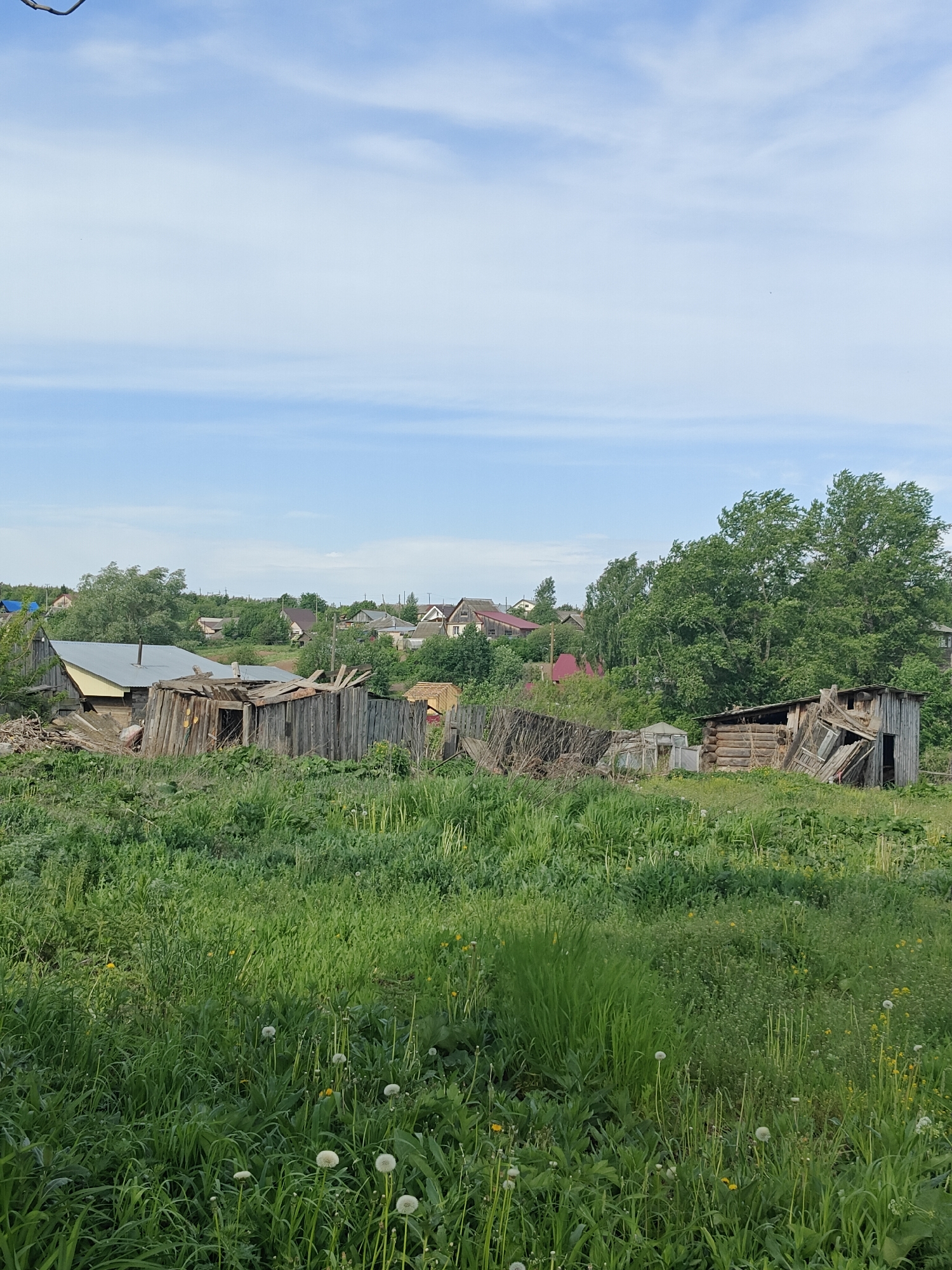 The image depicts a rural scene, likely located in or near Фоки, Russia, based on the surrounding environment. In the foreground, there is dense, overgrown greenery, including tall grasses and dandelions in various stages of bloom. Scattered amidst the vegetation are dilapidated wooden structures, seemingly remnants of old sheds or outbuildings. These structures show signs of disrepair, with collapsed roofs, leaning walls, and weathered wood. In the middle ground, there is a cluster of houses partially obscured by trees. The houses vary in style and construction, with some displaying colorful roofs. The background reveals a hazy sky with scattered clouds, creating an atmosphere of overcast weather. The overall impression is one of neglect and abandonment, with nature reclaiming the land around the decaying structures.
