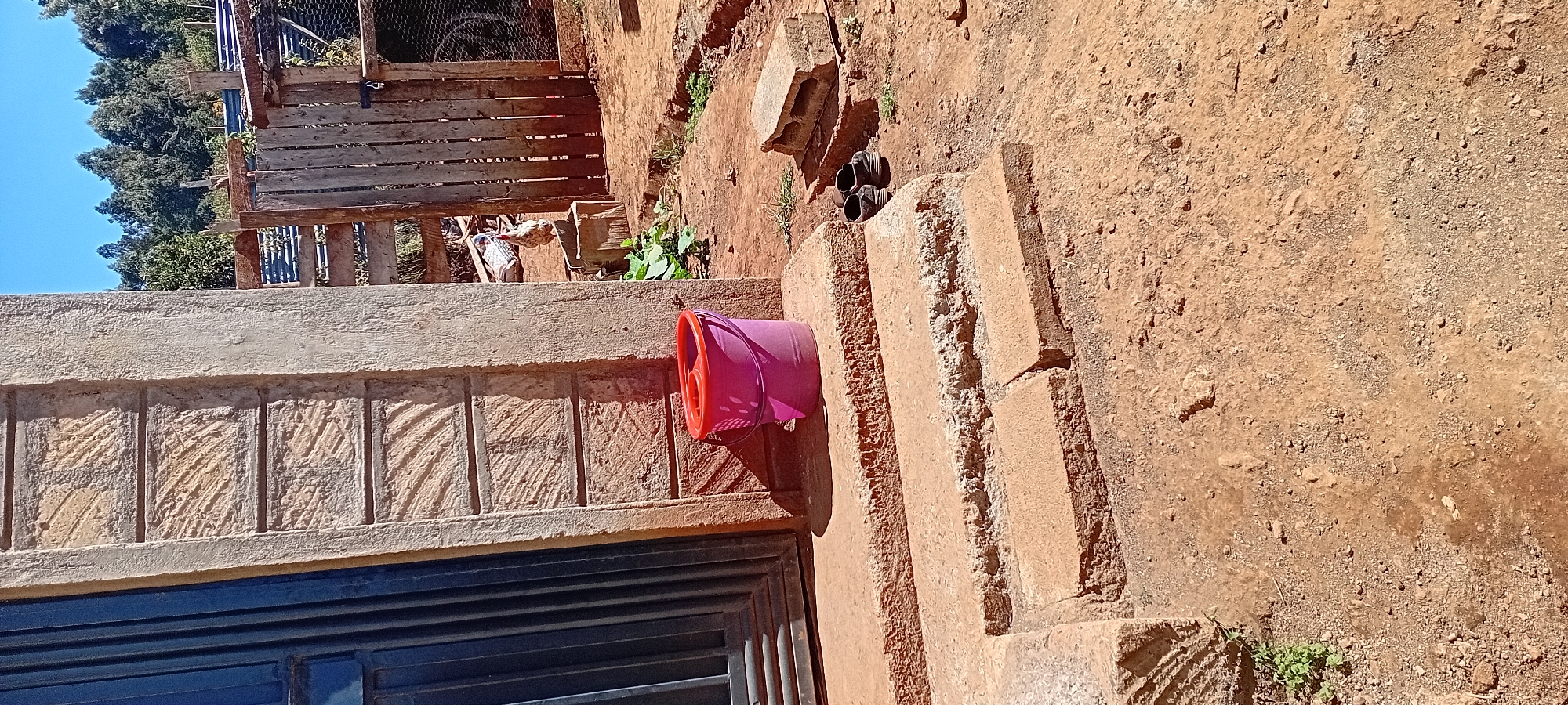 In Kijabe Ward, Kenya, this image captures an outdoor scene in what appears to be a rural or semi-rural setting. In the foreground, a pink plastic bucket with a red rim sits on the top step of a rough, concrete staircase. The steps are made of reddish-brown concrete, with visible wear and tear. To the left of the steps is a portion of a dark blue metal gate or door, with vertical slats. To the right of the steps, a pair of dark-colored shoes rests on the dusty ground, next to a broken concrete block.
The middle ground of the image features a rustic wooden fence made of vertical planks, some of which are weathered and uneven. Beyond the fence, a chicken stands on a wooden crate. Green foliage is visible near the chicken and the fence. In the background, a dense line of trees under a clear blue sky suggests a natural landscape. The ground throughout the scene is predominantly reddish-brown soil, mixed with small stones and debris. The overall impression is one of a simple, functional outdoor area, likely a residential yard or a small farm.