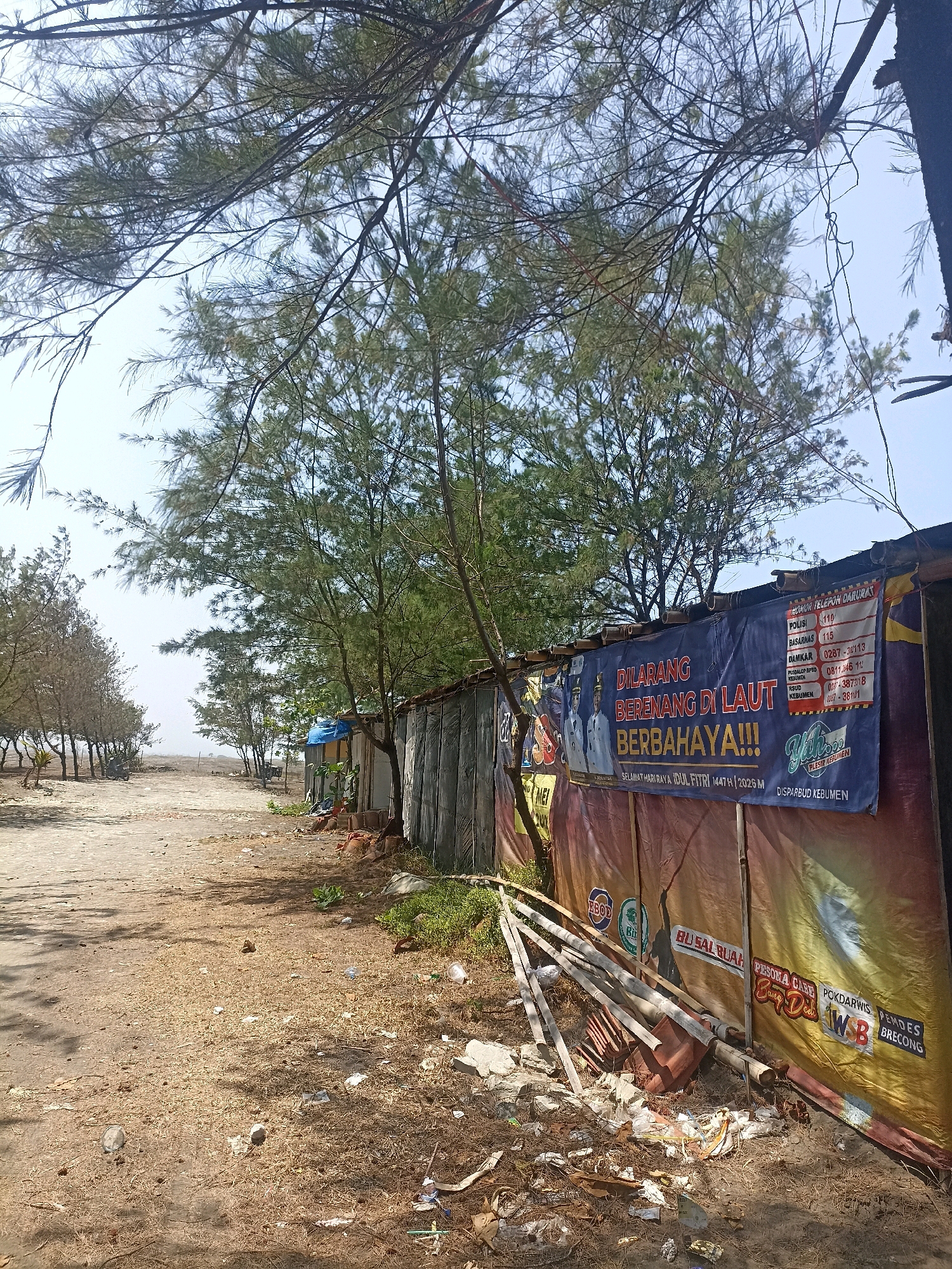 The image shows a scene on a beach in Setrojenar, Indonesia. In the foreground, there is a sandy path littered with dry leaves, small stones, and various pieces of trash, including plastic bottles and wrappers. To the right, a simple, makeshift structure with a corrugated metal roof and walls covered with fabric banners is visible. One banner, in blue, features text in Indonesian, including "DILARANG BERENANG DI LAUT BERBAHAYA!!!" (Do not swim in the sea, it is dangerous!!!) and emergency contact numbers. Another large banner behind it is yellow and orange, with various logos and text. Piles of wood, bamboo poles, and other debris are stacked against the structure.
Behind the structure, a line of trees with thin branches and needle-like leaves forms a dense canopy, obscuring parts of the sky. Further in the background, more trees line a sandy beach leading to the ocean, which is barely visible due to the hazy atmosphere. The overall impression is a somewhat neglected and rustic coastal area. There are no people clearly visible in the frame.