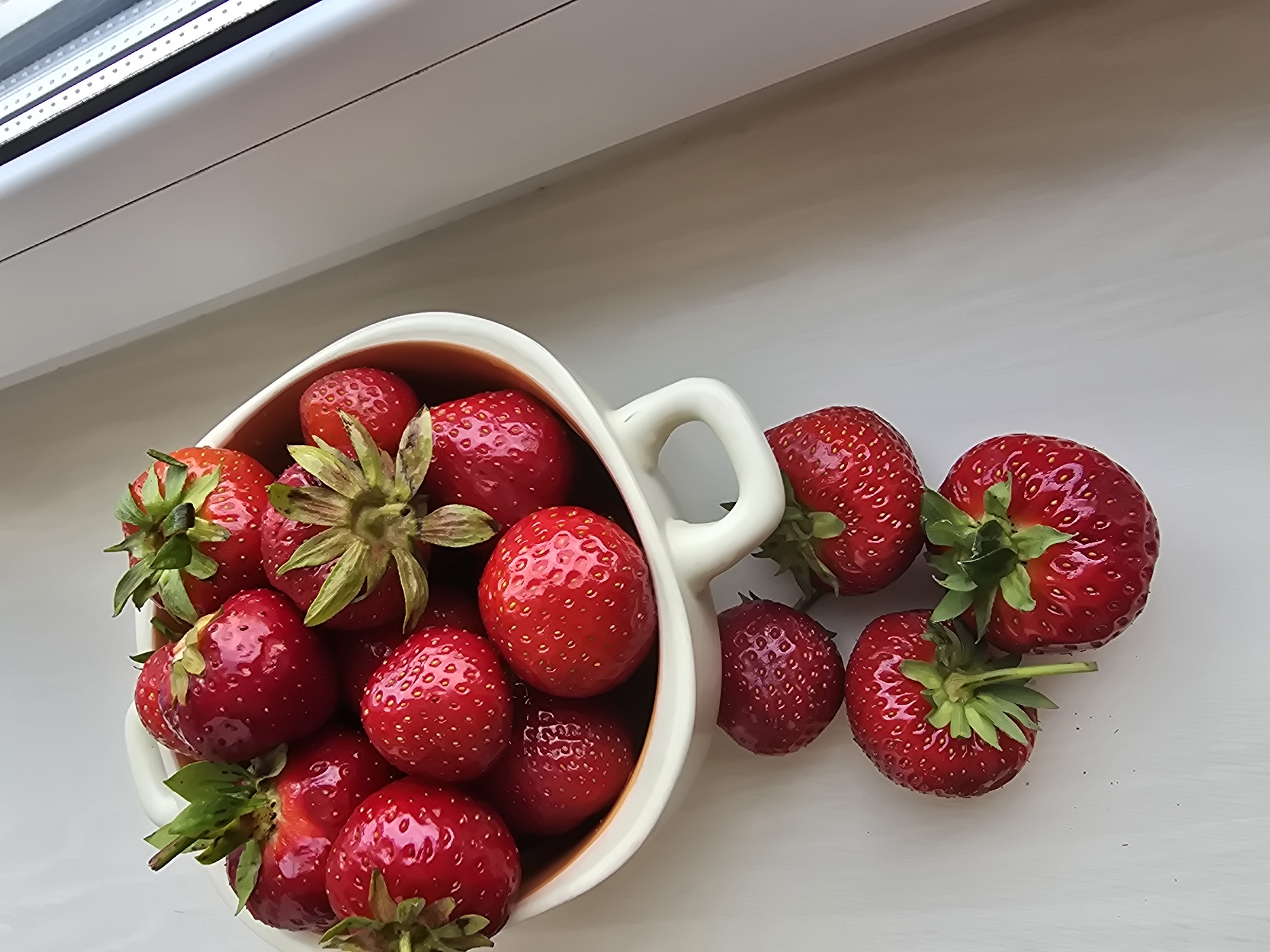 A bowl of fresh strawberries sits on a white surface, possibly a windowsill, with a light-colored background. The bowl, a light cream color with a darker rim, is filled with numerous bright red strawberries, many with green stems and leaves. A few strawberries have spilled out of the bowl and are scattered on the surface below. The image has a top-down perspective, with the bowl positioned in the upper left quadrant of the frame. The lighting suggests it's daytime, possibly near a window, as indicated by the bright light source on the right side of the image. The setting does not provide any specific indicators of being in Sofiivska Borshchahivka, Ukraine, or any other urban environment.