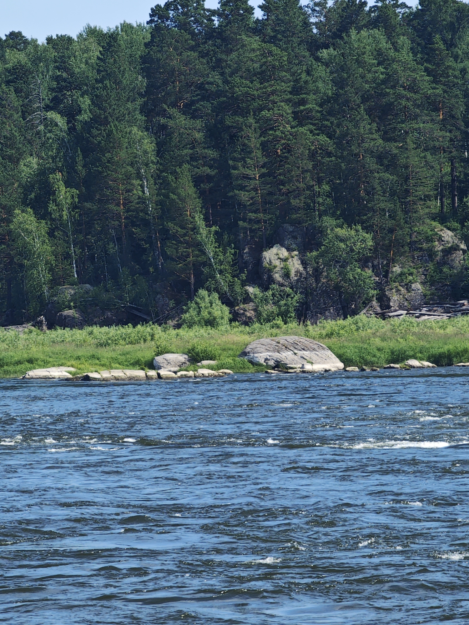 A wide, blue river flows in the foreground, with small waves and whitecaps indicating movement. The riverbank is lined with green grass and scattered large, gray stones. Beyond the riverbank, a dense forest of tall, green pine trees covers a sloping hill. Some lighter green deciduous trees are interspersed within the pine forest. The sky above is a clear, light blue. The scene depicts a natural landscape with a river and a forested hillside. The location is identified as Porog, Russia. There are no people or man-made structures visible in the image.