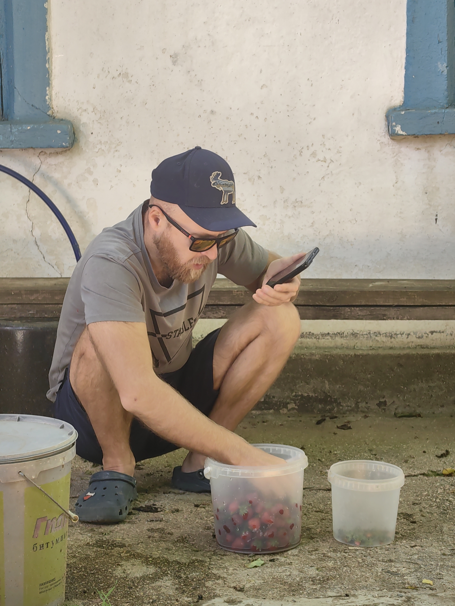 A man with a beard wearing a grey t-shirt, black shorts, a dark blue baseball cap with a moose emblem, and sunglasses is crouching on a concrete surface. He is holding a black smartphone in his right hand and appears to be selecting or examining items in a clear plastic bucket filled with strawberries. To his left, a large yellow and green plastic bucket with writing in Cyrillic is visible, and to his right, a smaller clear plastic bucket contains a few strawberries. The background consists of a weathered white wall with a blue-trimmed window frame, and a dark wooden bench. The environment suggests an outdoor setting, potentially a backyard or courtyard, in Ароматновское сельское поселение, Ukraine, given the context.
