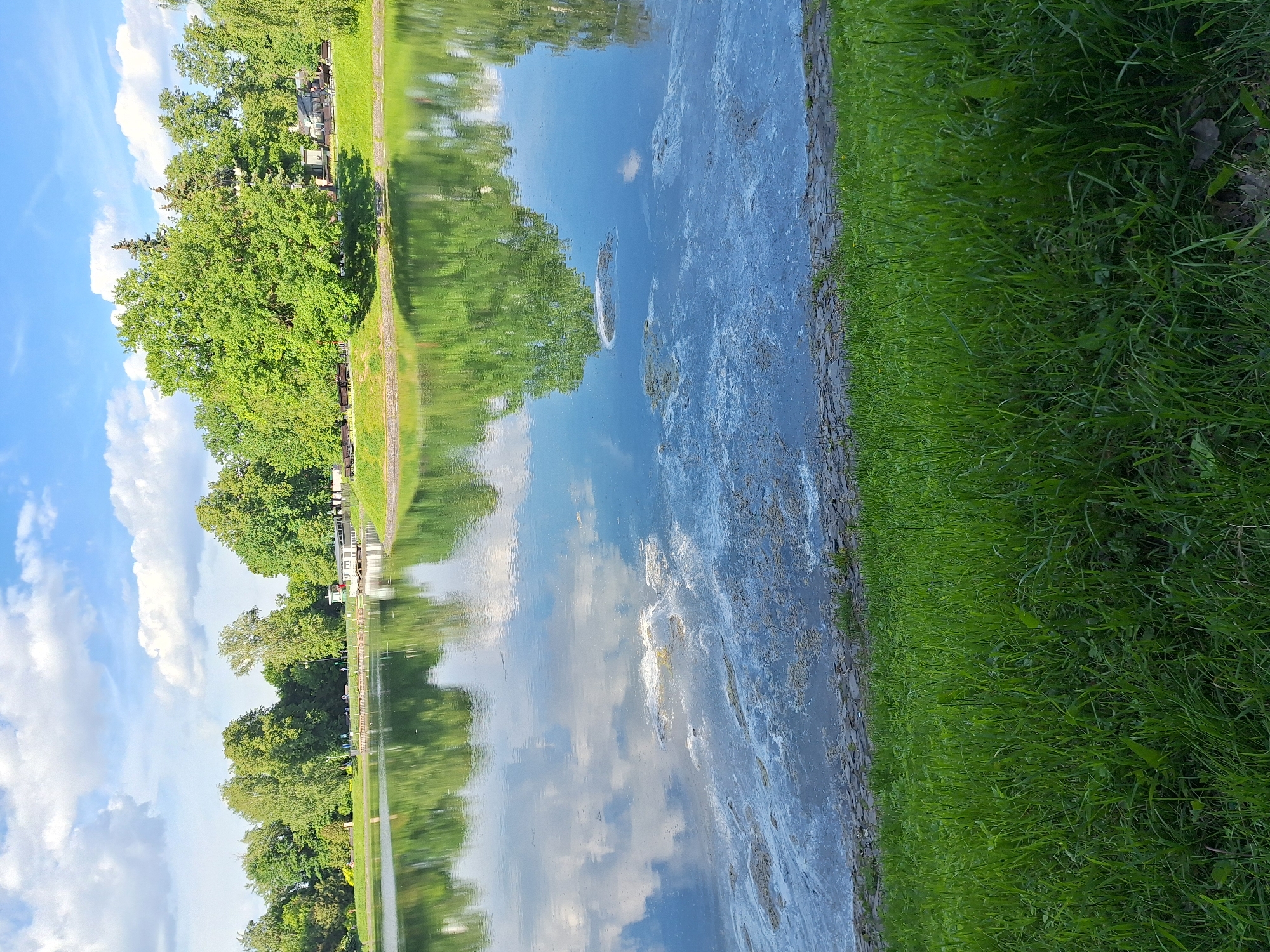 This vibrant image depicts a serene waterscape, likely a river or canal, on a bright, clear day. The scene is oriented vertically, but mentally rotating it counter-clockwise reveals a horizontal body of water.
In the foreground, a lush, emerald green grassy bank runs along the right side of the water, suggesting a well-maintained natural area. The water body itself takes up a significant portion of the mid-ground, acting as a mirror reflecting the bright blue sky adorned with fluffy white cumulus clouds, as well as the dense green foliage of trees on the opposite bank. The water's surface shows some ripples and appears to have patches of debris or organic matter, particularly closer to the grassy edge on the right.
The opposite bank, on the left side of the image, is heavily forested with numerous deciduous trees, all in full green leaf, indicating a warm season like summer or late spring. Interspersed among the trees, faint outlines of buildings or structures can be observed, suggesting a park or residential area bordering the water. A narrow path or walkway appears to run along this tree-lined bank.
The time of day is clearly daylight, likely mid-morning to late afternoon, given the strong, natural illumination and the vivid blue sky. The weather is fair, with bright sunshine and scattered clouds. No people or specific objects are clearly identifiable, and there is no visible text in the image. The overall impression is one of tranquility and natural beauty.