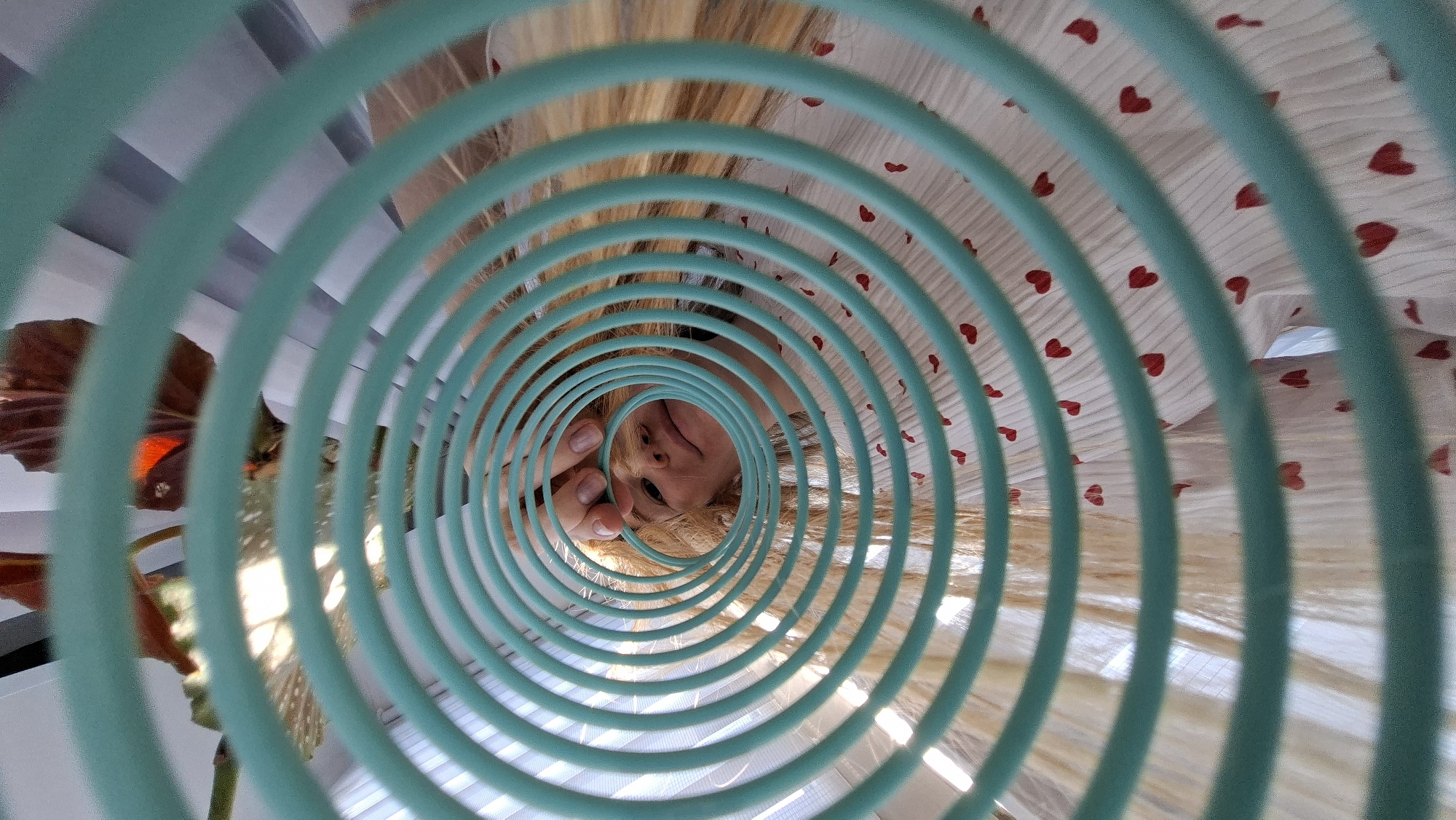 A view through a teal slinky toy shows a woman's face at the center, presumably the one holding the toy and looking through it. The woman has blonde hair, fair skin, and is positioned so the viewer is looking up at her face. She is wearing a white shirt with small red hearts printed on it. To the left of the frame, out of focus, there is a green plant and white blinds. The exact location in Chaikovsky, Russia is unknown as there are no identifiable features that can definitively place the scene in this location.