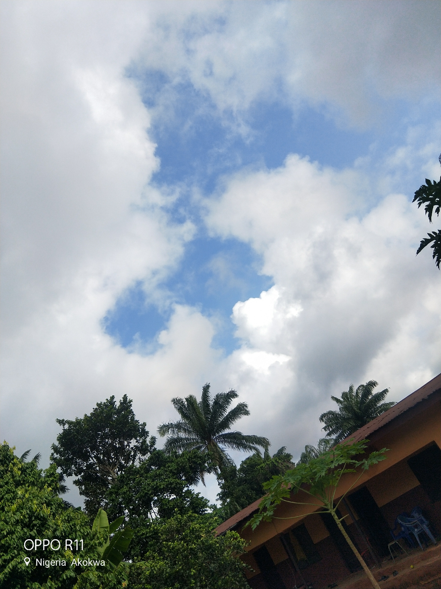 This media file captures an outdoor scene with a focus on the sky and surrounding vegetation. The sky is a prominent feature, with large, fluffy white clouds partially obscuring patches of bright blue sky. The overall impression of the sky is overcast with some clear areas.
Below the sky, lush green trees and foliage dominate the lower part of the frame. A palm tree with its characteristic fronds is visible on the right side, as well as other dense green trees and some larger leaves, possibly from a banana plant. On the far right, a portion of a building with a brown, tiled roof is visible. Two blue plastic chairs are placed outside the building, suggesting an outdoor seating area.
The lighting suggests it is daytime, likely late morning or afternoon, given the brightness of the sky. The weather appears to be partly cloudy, with the clouds casting some shade, creating a dynamic interplay of light and shadow.
Visible text in the bottom left corner reads "OPPO R11" and below it, a location pin icon is followed by "Nigeria Akokwa". This indicates the image was taken with an OPPO R11 phone in Akokwa, Nigeria. There are no people or specific activities depicted in the image; it is a static environmental shot. The scene conveys a sense of natural beauty and a tropical or subtropical climate, typical of Nigeria.