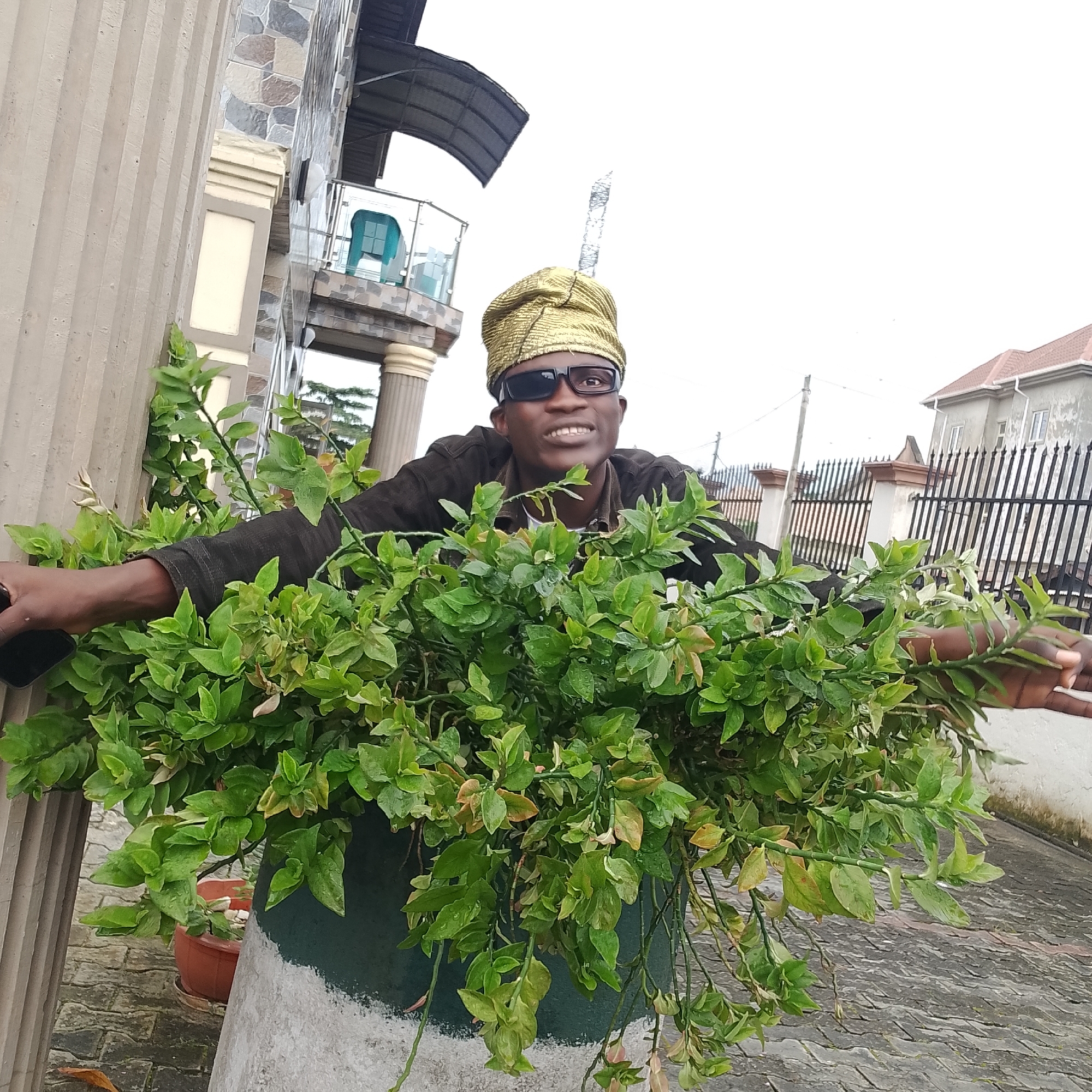 A young Black man wearing a dark jacket, a gold headwrap, and black sunglasses is shown from the chest up, smiling. He is positioned behind a large, leafy green plant in a dark green pot. The man is holding the plant and his right arm is extended out of the frame. The background appears to be an urban setting with a building facade, a fence, and a paved walkway. The lighting suggests an overcast day.