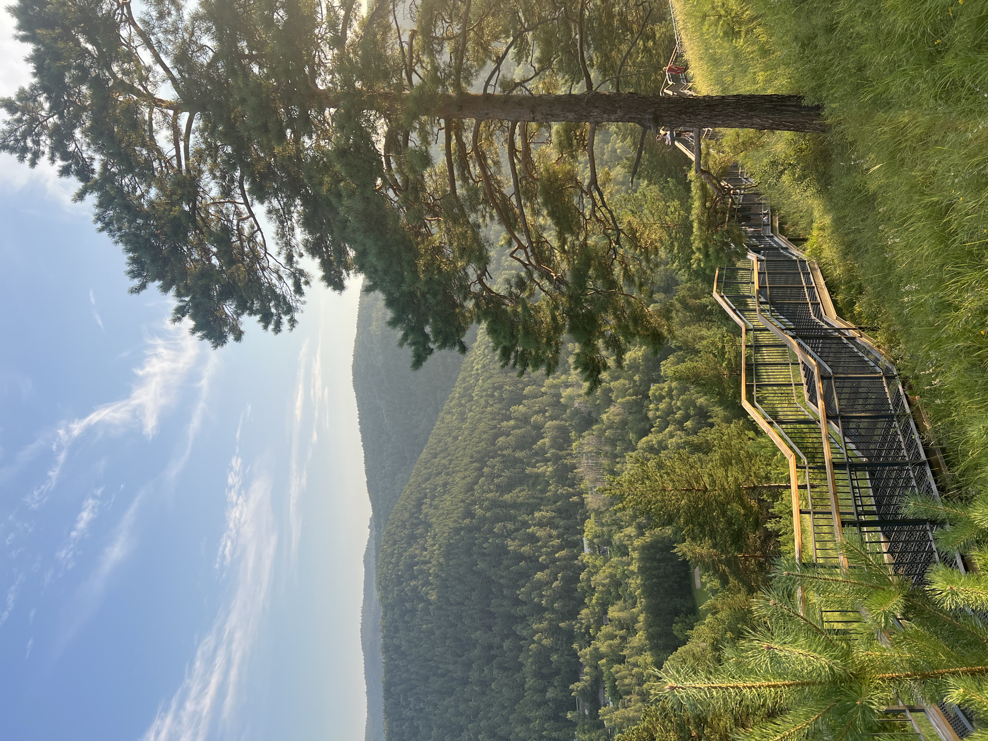 This image depicts a scenic view from a wooden and metal staircase overlooking a verdant, forested valley. The sun is setting, casting a warm glow and long shadows across the landscape. In the foreground, a large pine tree stands prominently, its branches reaching towards the sky. The staircase, constructed with black metal steps and railings topped with natural wood, winds its way down the grassy slope.
The valley below is densely covered with a variety of green trees, forming rolling hills that extend into the distance. The sky is a clear blue with wispy white clouds, illuminated by the setting sun's rays.
This location is part of the Stolby Nature Reserve, a protected area located to the southeast of the city of Krasnoyarsk, Russia. The reserve is known for its unique rock formations and vast Siberian pine forests, offering breathtaking panoramic views to visitors. In the distance, some structures can be seen nestled among the trees, suggesting a small settlement or park facilities within the reserve. Two individuals are visible on the staircase, one standing near the large pine tree and another further up the path, both seemingly enjoying the view. The overall impression is one of natural beauty and tranquility.