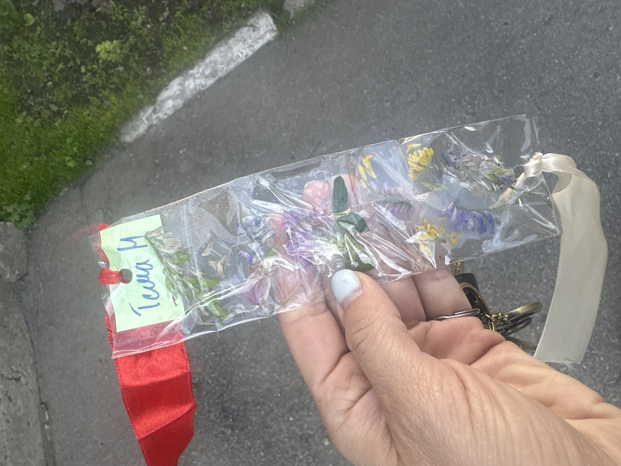 In the city of Novoaltaysk, Russia, a hand with a light blue nail polish is holding a clear plastic bag containing dried flowers. The bag is attached to a red ribbon and a set of keys. A handwritten note in Cyrillic script on a green sticker is affixed to the plastic bag. The background shows a paved surface and a patch of green grass.
