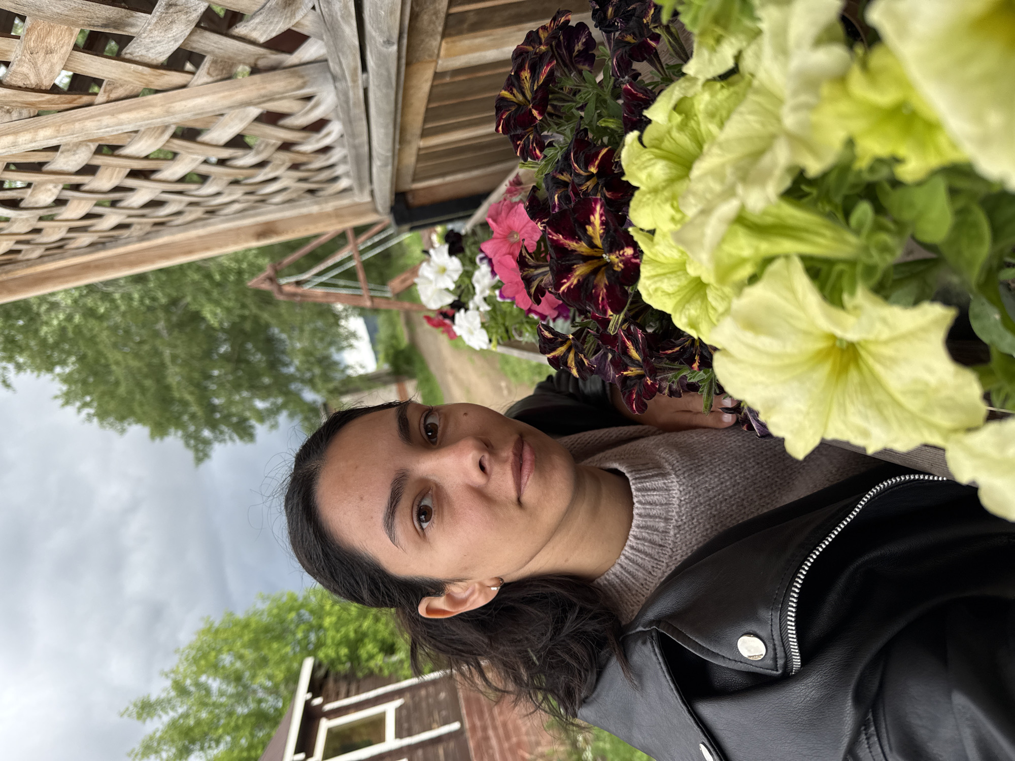 The image captures an adult female posing outdoors, partially obscured by various potted petunia flowers, in a rural or garden setting, stated to be in the city of Chaikovsky, Russia.
The female subject, appearing to be in her late twenties to early thirties, is positioned slightly to the left of the frame's center. She has dark hair, styled away from her face, and a medium complexion. She looks directly at the camera with a neutral expression. She wears a light-toned, knitted sweater, likely beige or light grey, under a black synthetic leather jacket featuring silver-toned metal snaps and a prominent silver zipper down the front. Small, circular gold-colored hoop earrings are visible in both ears. Her left arm rests on an unidentifiable surface, with her left hand positioned near the foreground flowers.
In the immediate foreground and extending to the right, multiple planters hold a profusion of petunia flowers. The closest flowers are a prominent light yellow-green variety. Behind these, dark burgundy petunias with distinctive yellow streaking patterns are visible. Further to the left, vibrant pink petunias bloom, and in the distance, white petunias are also present.
To the right of the subject, a weathered light-toned wooden lattice structure, exhibiting a woven pattern, is visible, angled from the upper right toward the lower center. In the background, on the far left, a segment of a brown wooden building with white window trim is visible. A reddish-brown metal A-frame structure, possibly a swing support or part of a garden ornament, is located in the mid-ground, to the right of the wooden building. A dirt or gravel path extends into the distant background, flanked by green trees and foliage. The sky is overcast, dominated by grey cloud cover, and the scene is illuminated by soft, diffused natural light.