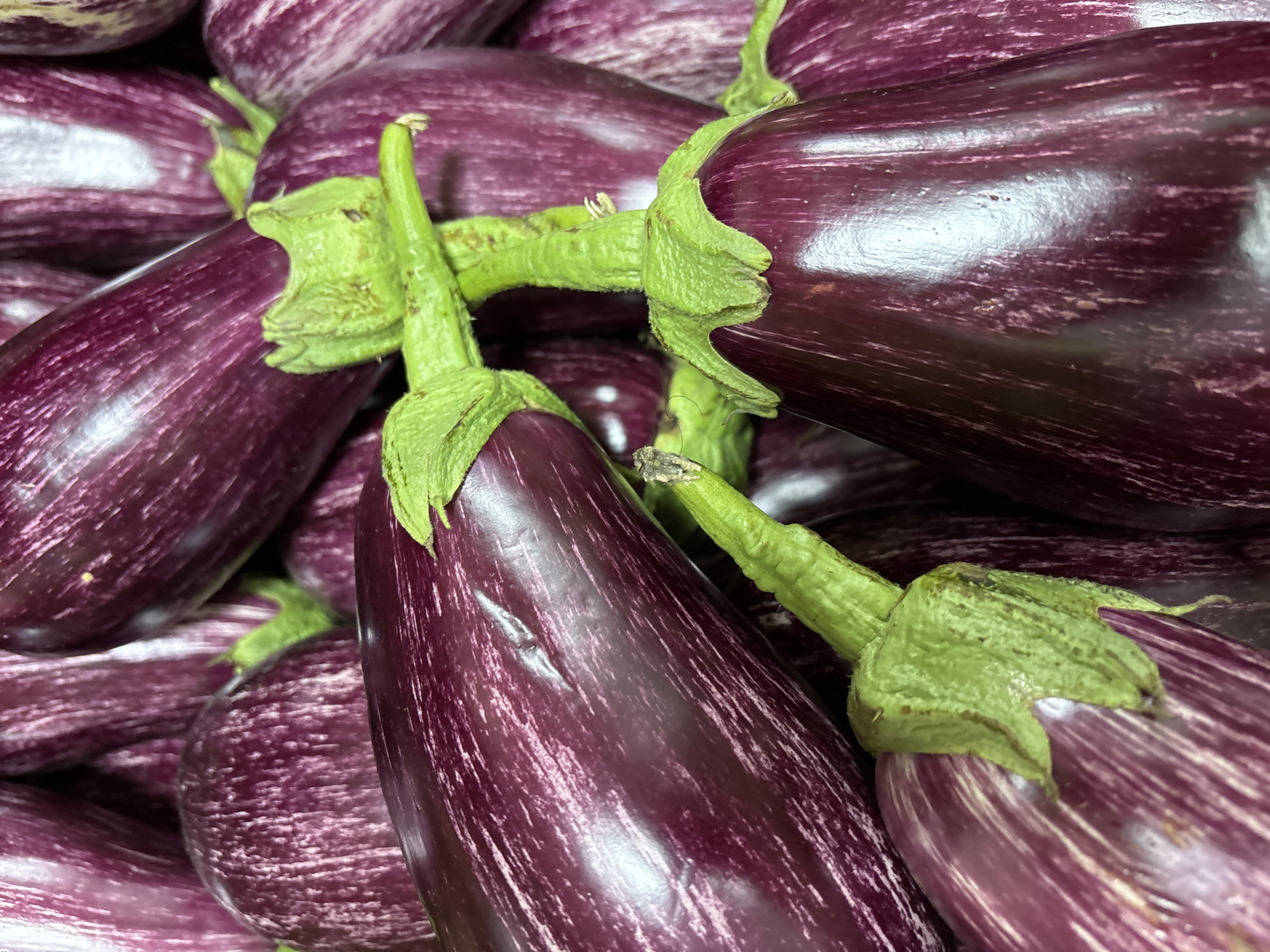 The image shows a close-up, overhead view of a pile of striped eggplants. The eggplants are a deep purple with lighter white or pinkish stripes running lengthwise. Some of the green stems and calyxes are visible. The lighting suggests an indoor setting, possibly a market or grocery store. There are no people or animals in the image, and no identifiable landmarks that would indicate a specific location within Zvenigorod, Russia. The scene is a still life focused entirely on the produce.