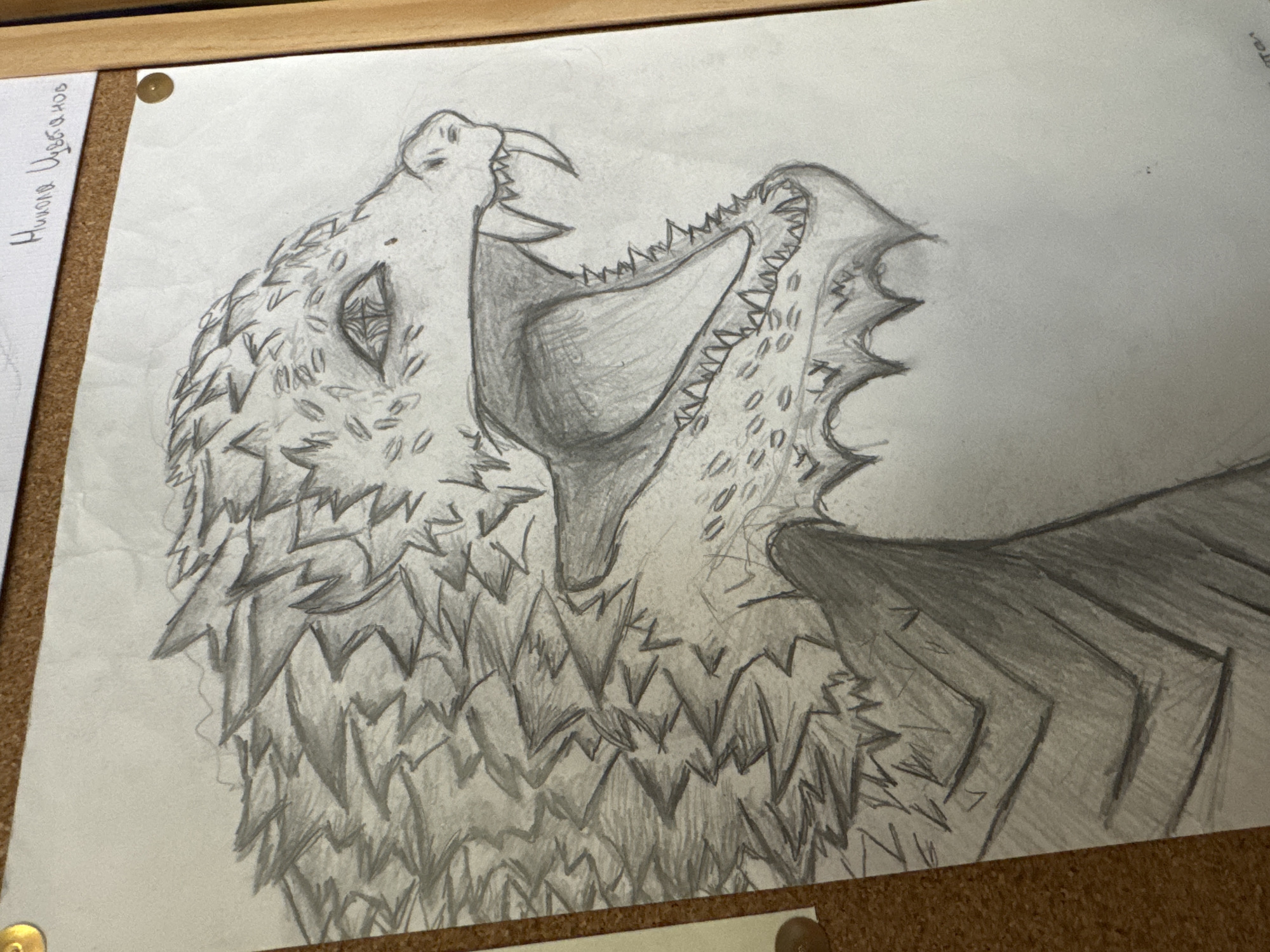The primary subject is a detailed pencil drawing of a fierce, mythical creature, possibly a dragon or a bird-like monster, depicted with its head turned towards the left. The creature has its mouth wide open, revealing multiple rows of sharp, jagged teeth and a prominent, pointed beak. Its large eye features an intricate, web-like pattern, adding to its intense gaze.
The creature's body is covered in textured scales or feathers, rendered with sharp, overlapping shapes that create a sense of rough, armored skin. Part of a powerful wing, shaded with darker pencil strokes, extends from the right side of the creature's body. The drawing utilizes various shades of gray to create depth and texture, showcasing skillful pencil work.
The artwork is on a piece of white paper that appears slightly crumpled and is pinned to a cork board. A single golden thumbtack is visible in the upper left corner, securing the paper. The background is the warm, textured surface of the cork board.
In the upper left portion of the image, beneath the thumbtack and on a separate, smaller piece of paper, Cyrillic text is visible, reading: "Никола Чубанов," likely identifying the artist. The overall impression of the drawing is one of aggression and power, conveyed through the creature's dynamic pose and intricate details. The setting is indoors, with no specific time of day or weather indicated.