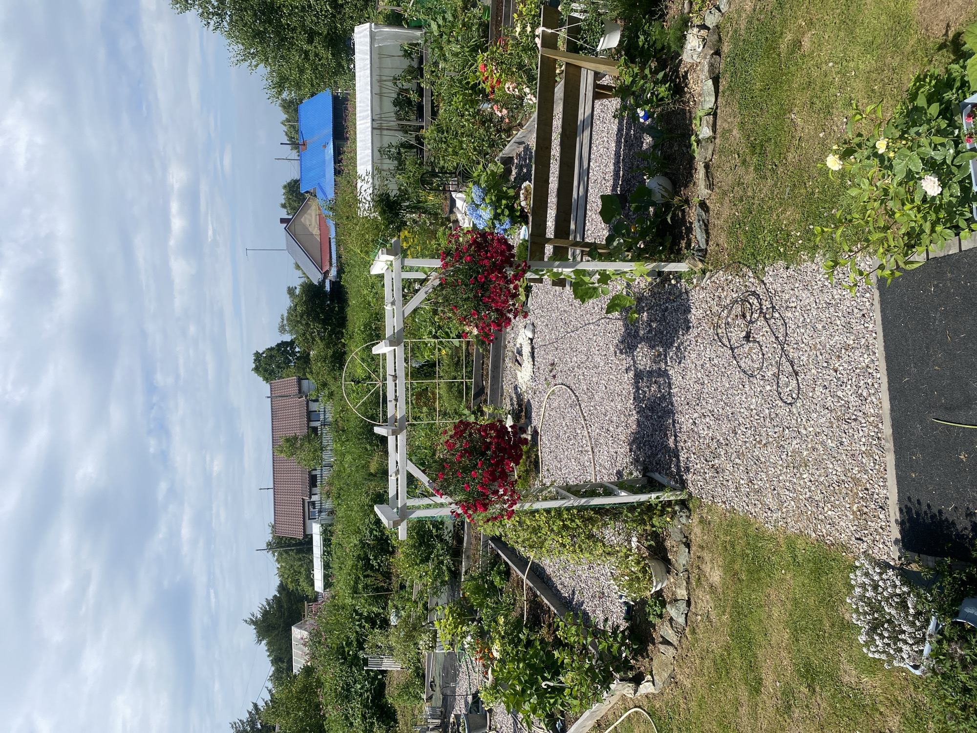 The image depicts a vibrant garden scene in Tret’ya Pad’, Russia. In the foreground, a white wooden archway with hanging baskets of red flowers frames a path covered in light-colored gravel. To the right of the path, a wooden bench sits amidst lush greenery. Beyond the archway, a meticulously organized garden with raised beds is visible, showcasing a variety of flowering plants and vegetables. In the background, several houses with pitched roofs can be seen, some with red tiles and others with blue metal roofing. A white greenhouse structure with plants inside is also present. The sky above is partly cloudy, with patches of blue showing through. The overall impression is one of a well-maintained and productive garden on a sunny day.