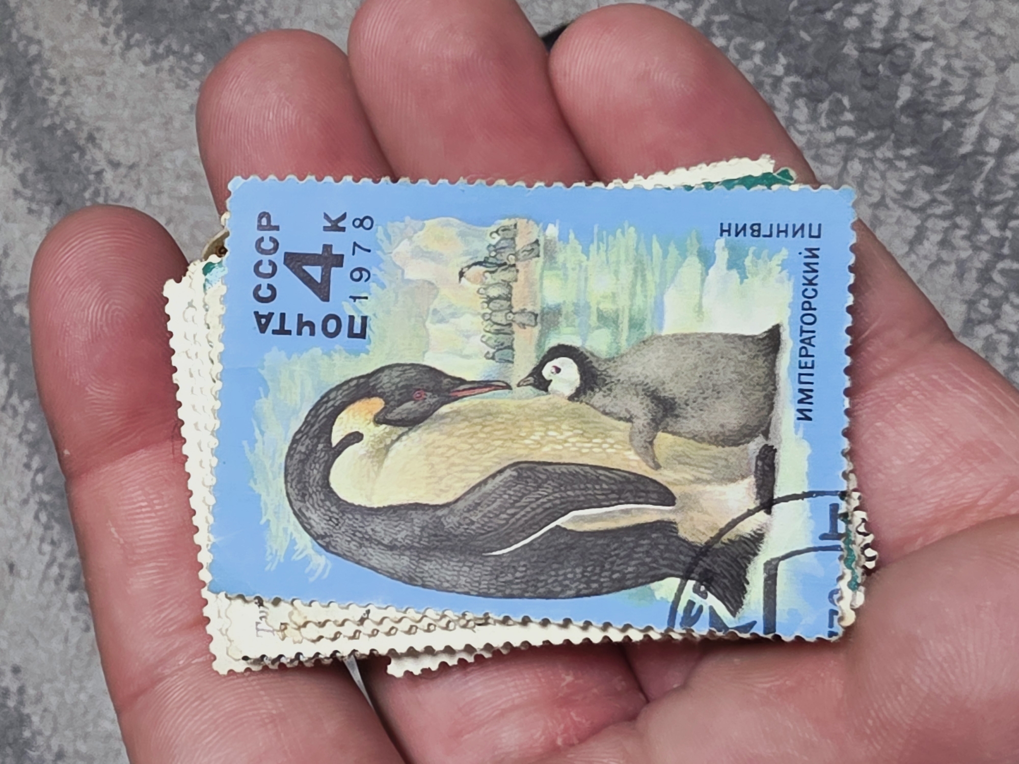 A hand holds a stack of postage stamps. The top stamp is blue, depicting two penguins, and printed with "ПОЧТА СССР 4 K 1978" and Cyrillic text. There is no information provided within the image that allows for determining a location, especially in Varna, Bulgaria.