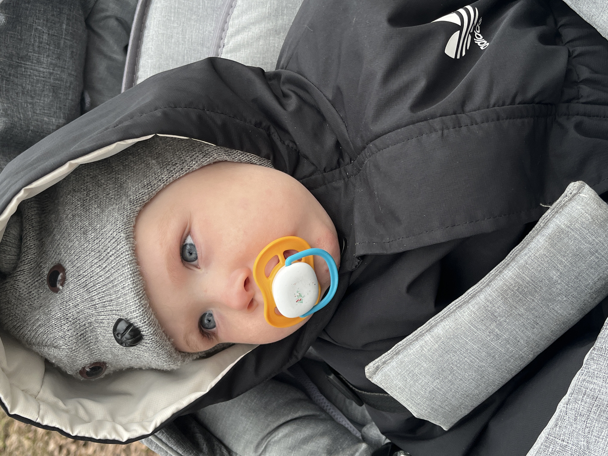 A baby with blue eyes lies in a stroller. The baby is wearing a grey knit hat with black button-like details and a black puffy jacket with the Adidas logo on the shoulder. A pacifier is in the baby's mouth. The stroller is grey. The location is Chaikovsky, Russia.
