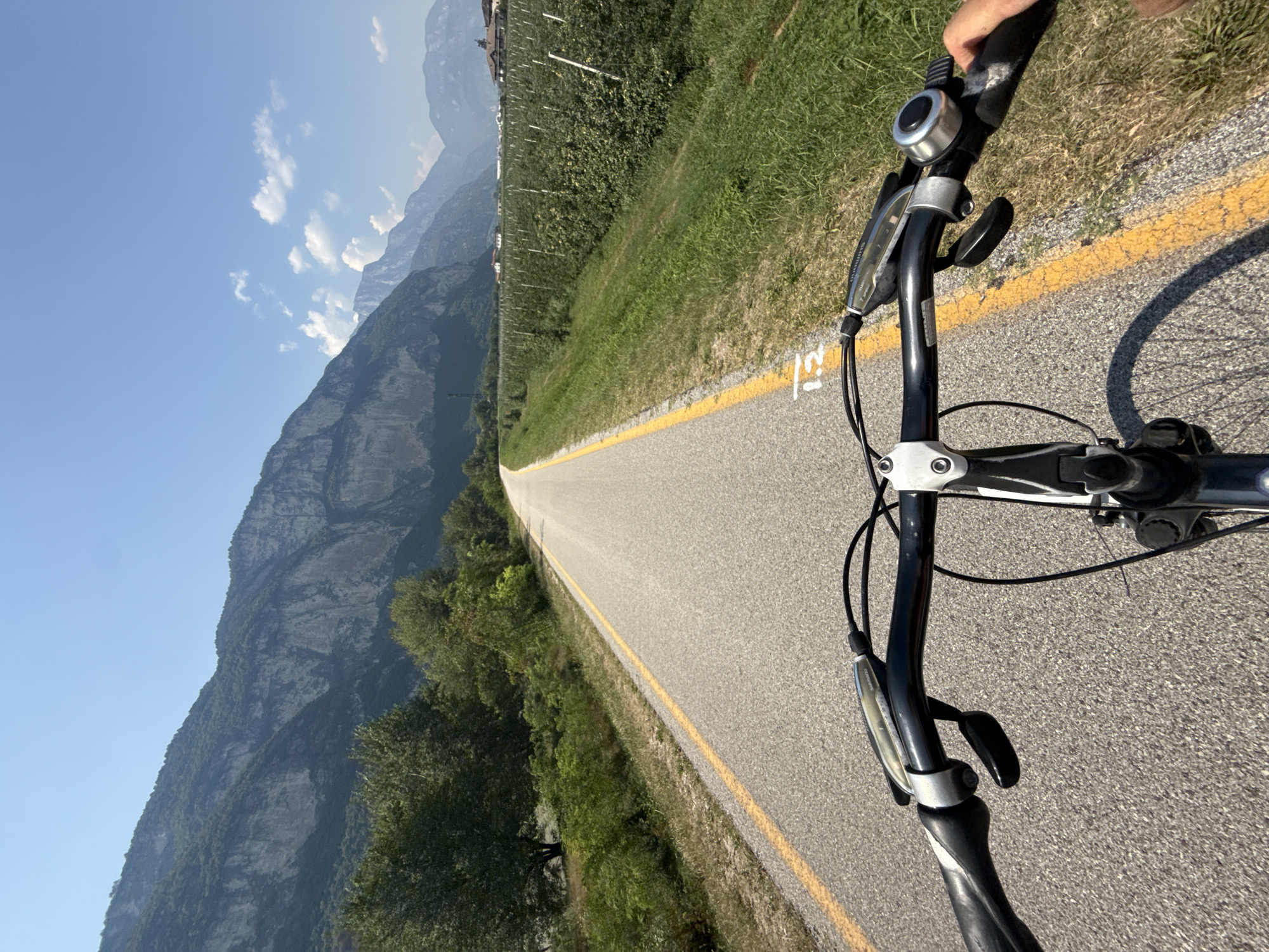 A first-person perspective shot shows a person riding a bicycle on a paved path with a yellow line down the center. The path is bordered by green grass and trees on the left, and a vineyard on the right. In the background, large, rugged mountains under a clear blue sky dominate the landscape. The scene appears to be in a rural area, possibly a scenic route or bike path. The bicycle's handlebars, brake levers, and a bell are visible in the foreground. The presence of vineyards and mountainous terrain suggests a location with agricultural activity and natural beauty. This scene is consistent with areas surrounding the city of Trento, Italy, which is known for its vineyards and proximity to the Alps.