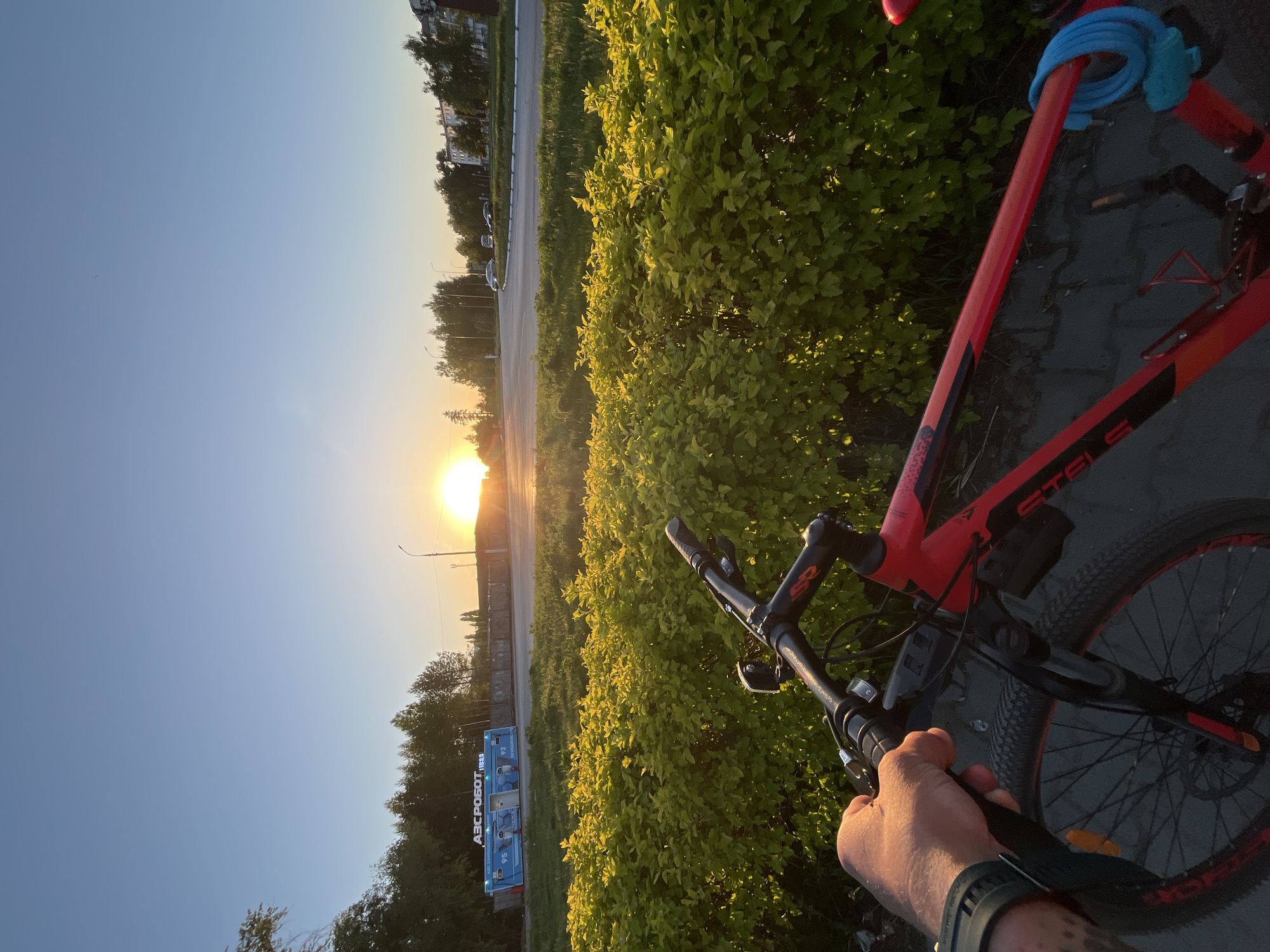 A first-person perspective photograph taken outdoors near Chaikovsky, Russia shows a red and black Stels brand mountain bike with a blue bike lock on the frame. The bike is held by a fair-skinned hand wearing a black watch. The background consists of a large bush with yellow-green foliage, a paved road, trees, and a clear sky with a bright sunset. A structure labeled "ABC POБOT" in Russian can be seen behind the trees on the left side of the image.