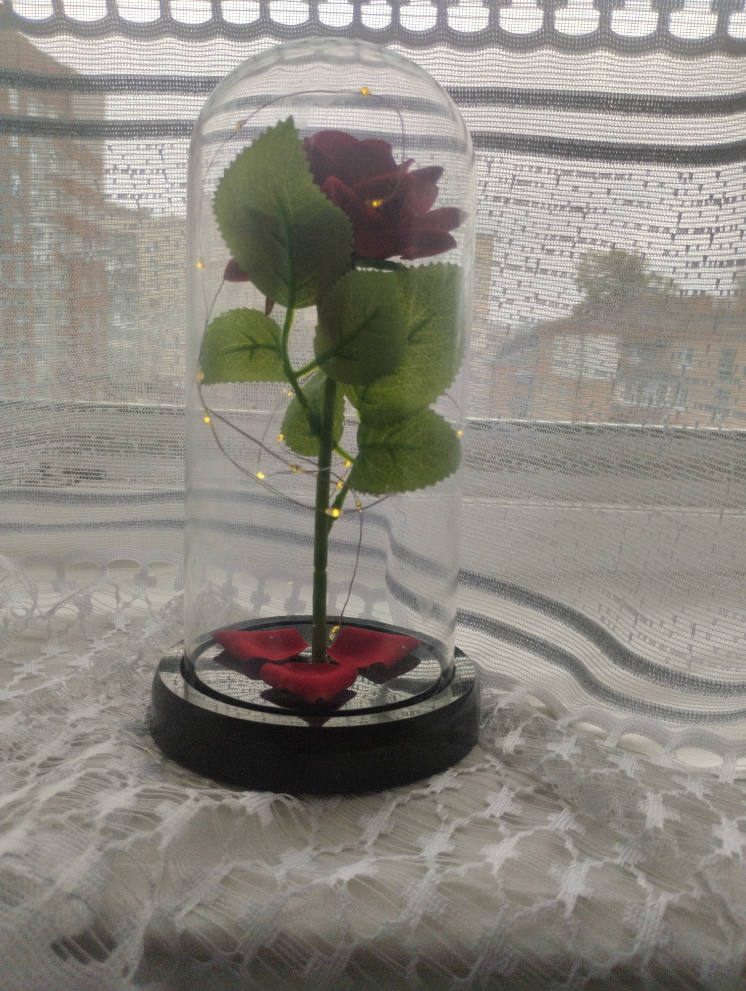 The image depicts a static scene in the city of Khmelnytskyi, Ukraine, featuring a decorative item positioned on a white, textured lace surface. The primary subject is an artificial red rose with green leaves and a green stem, enclosed within a clear glass dome, commonly referred to as a cloche. Small, warm-toned LED fairy lights are intertwined around the rose's stem and leaves inside the dome, emitting a soft glow. The rose display rests on a circular black base, and several loose red petals are scattered on the base's surface beneath the rose.
The lace surface it rests upon exhibits an intricate, repeating pattern. In the background, a sheer, white window curtain is visible, featuring horizontal bands of varying weaves and opacities, as well as a scalloped decorative edge along its top border. Through the translucent curtain, the blurry outlines of multi-story buildings, characterized by brick-like textures and visible window structures, are discernible. Some green foliage, indicative of trees or shrubs, can also be observed through the curtain, suggesting an urban or suburban outdoor environment. No people are present, and no actions or interactions are depicted. The lighting is soft and diffused, originating from the window in the background.