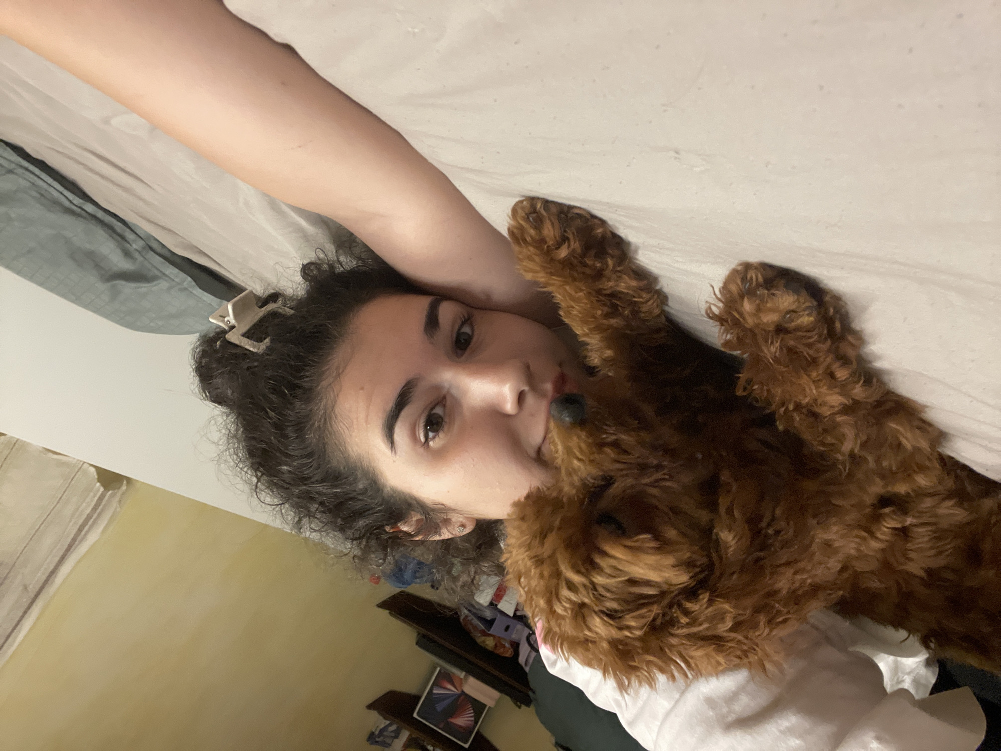 A young woman and a small, reddish-brown dog are captured in an intimate, indoor setting, likely a bedroom. The image is oriented sideways, showing the woman lying on her back, facing the camera with a relaxed expression. She has dark, curly hair, part of which is held back by a light-colored claw clip near her ear. Her right arm is visible, resting on a white sheet above her head.
Snuggled close to her face, resting on her chest or shoulder, is a fluffy, reddish-brown dog, possibly a poodle or doodle. The dog's snout is near the woman's mouth, suggesting an affectionate nuzzle or close resting. Both appear calm and content.
The background shows a simple interior, with white bedding or cushions and a pale yellow wall. In the lower left corner, a dark piece of furniture or shelf is visible, upon which an electronic tablet or device with a colorful display rests. The lighting is soft, indicative of indoor artificial light, suggesting it is evening or night. There is no visible text in the image. No specific details within the image point to the location being Sofia, Bulgaria.