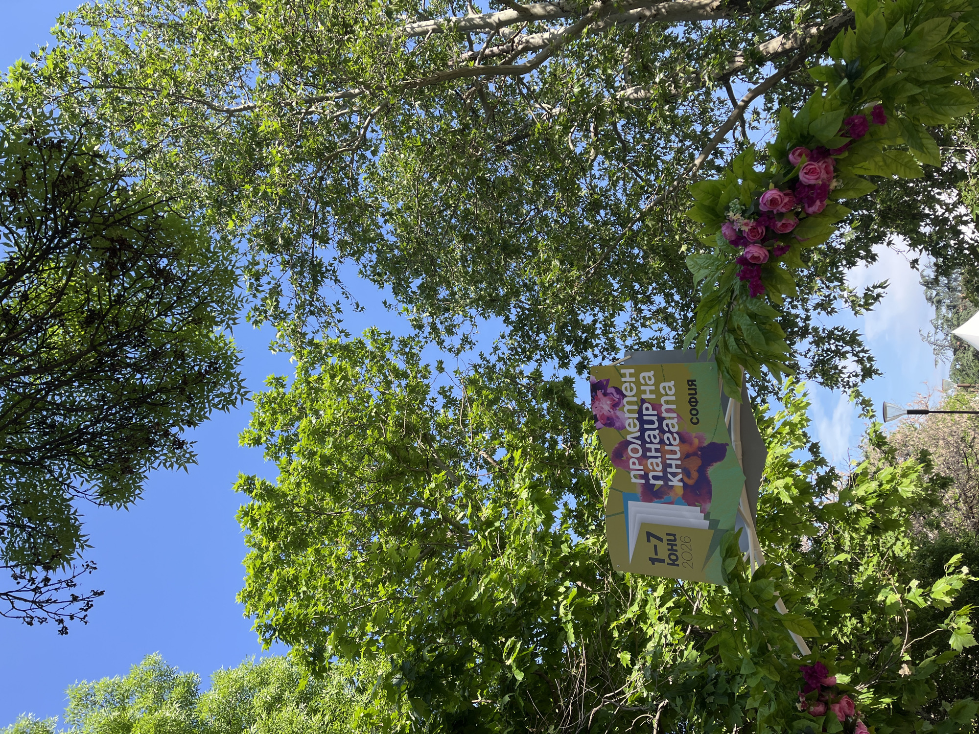 The image, taken from a low angle, depicts a view upward through the canopy of several trees against a clear blue sky. A sign, partially obscured by leaves and decorated with pink roses and leafy garland, hangs among the branches. The sign is printed in Cyrillic and features the words "пролетен панаир на книгата" (spring book fair) and "София" (Sofia), suggesting that the image was taken in Sofia, Bulgaria. The dates "1-7 юни" (June 1-7) are also visible on the sign.