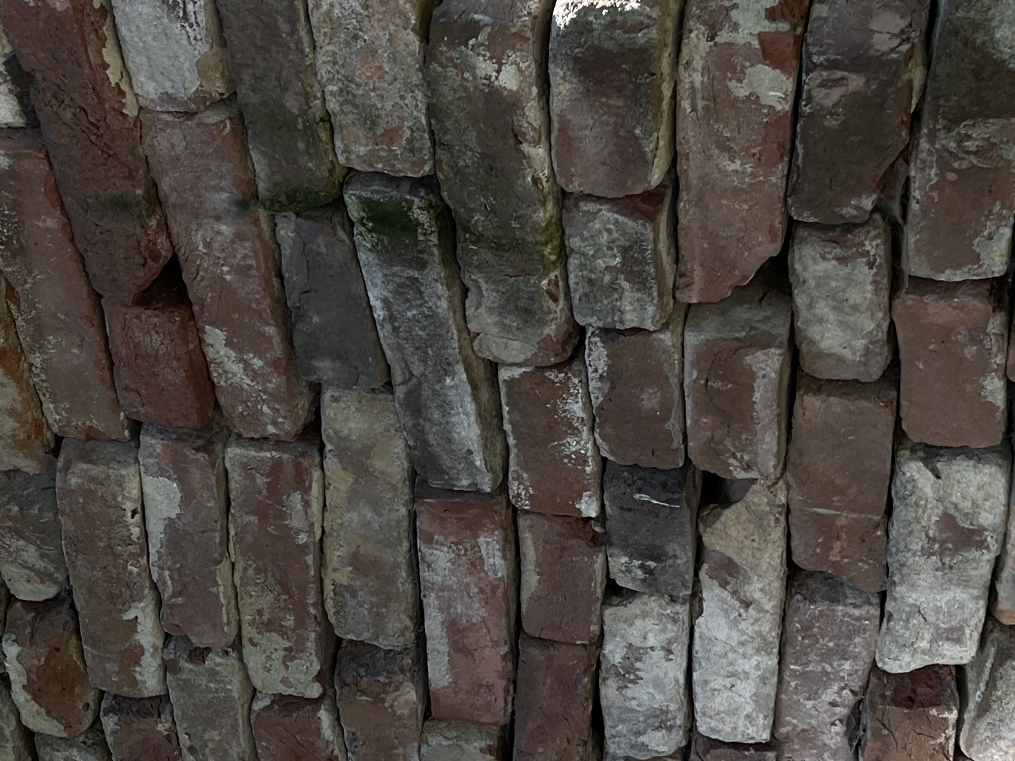 This media file is a close-up, overhead shot of a brick wall, likely an arch or ceiling, made of weathered, rectangular bricks. The bricks are varied in color, ranging from reddish-brown to grey and off-white, with some showing signs of moss or lichen growth, suggesting an outdoor or damp environment. The mortar between the bricks is also visible, and it appears to be aged. The lighting suggests it is daytime, with some shadows indicating light source direction, possibly sunlight filtering through or an artificial overhead light. The bricks are laid in an arched pattern, with each brick angled slightly differently, creating a textured and somewhat uneven surface. There is no text visible in the image. The overall impression is one of age and texture, highlighting the natural wear and tear on the materials. The context provided places this scene in Lviv, Ukraine.