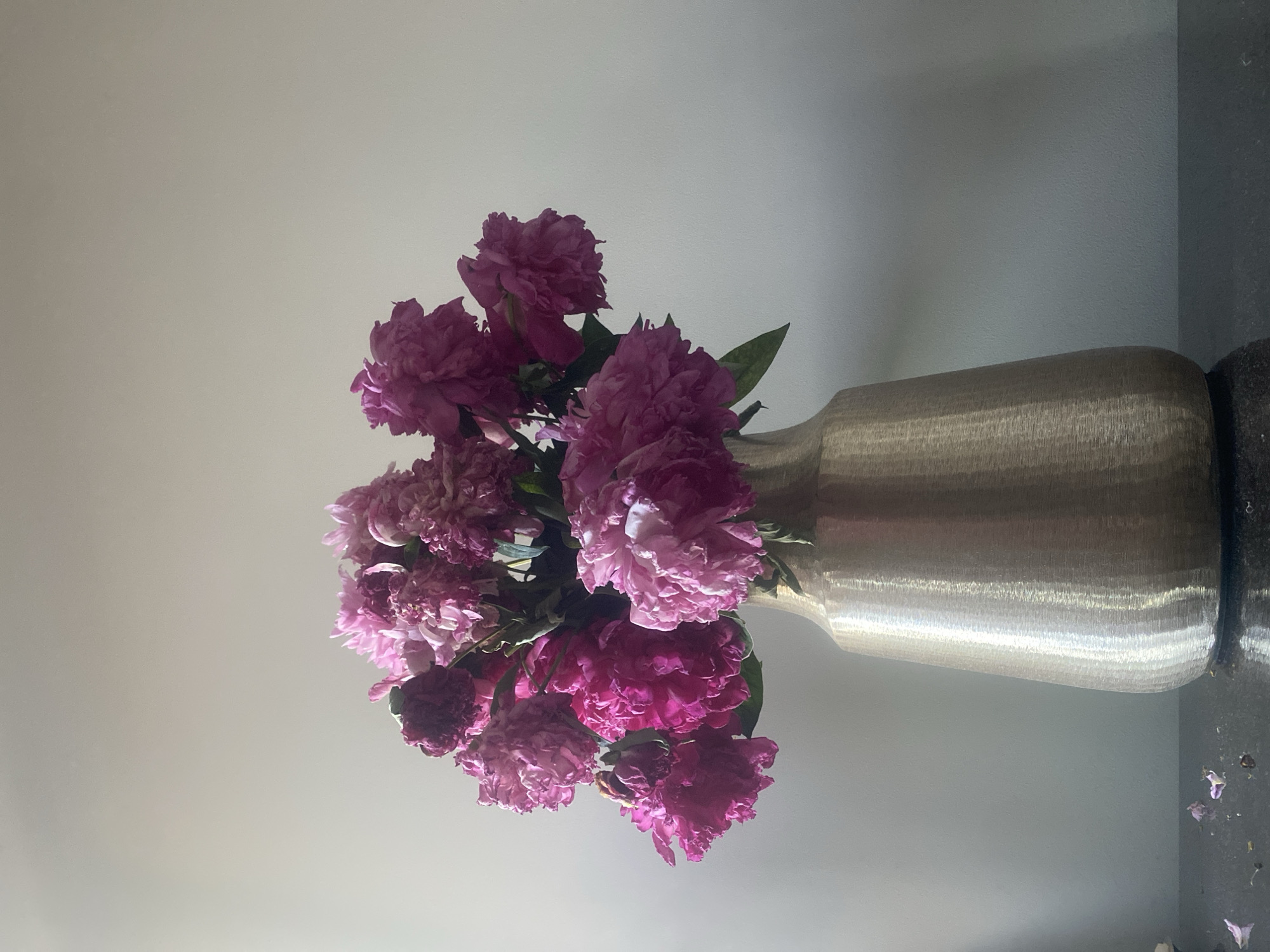 A vase of pink peonies sits on a dark, reflective surface against a light gray wall. The vase is metallic and has a textured, hammered finish. The peonies are in various stages of bloom, with some fully open and others still partially closed. A few fallen petals are visible on the surface below the vase. There are no people or animals present in the image. The image was taken in the city of Novi Petrivtsi, Ukraine.