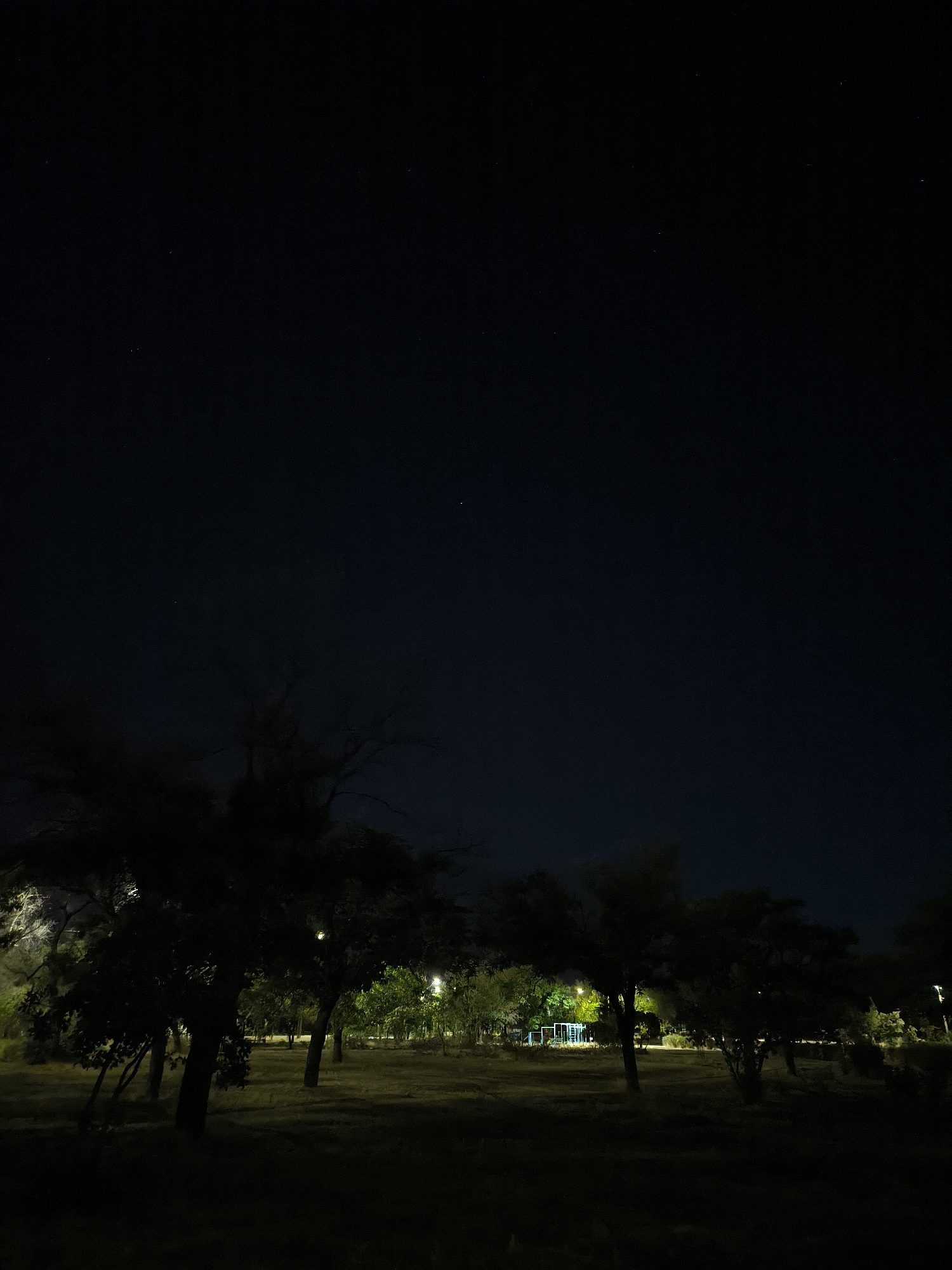 This is a nighttime photograph of a park with trees and a dark sky with visible stars. The foreground is dominated by silhouetted trees. In the mid-ground, there are more trees, some of which are illuminated by artificial lights, creating a glow. A playground structure with blue bars is visible in the distance, also illuminated. The ground appears to be grass or dry vegetation. The overall impression is a serene park setting at night. The location is the city of Mykolaiv, Ukraine.
