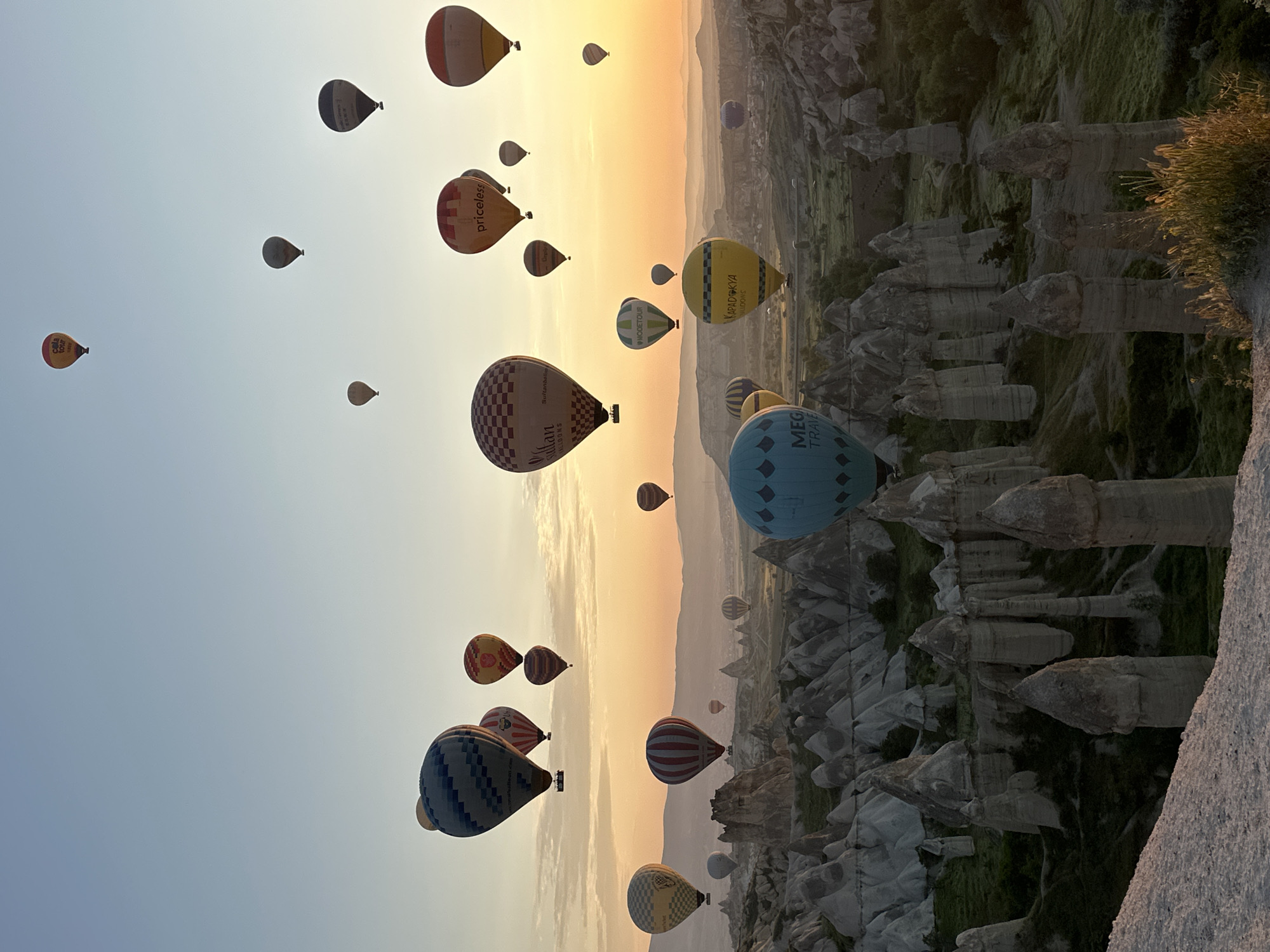 The image captures a breathtaking sunrise scene over the unique geological landscape of Göreme, Cappadocia, Turkey, featuring numerous hot air balloons. The sky transitions from a clear, pale blue at the top left to vibrant golden and orange hues near the horizon line, indicating the early morning light.
Dozens of colorful hot air balloons of various sizes and patterns ascend gracefully across the sky. These balloons display a range of designs, including solid colors, stripes, and checkered patterns. Many also feature visible text and branding. Among these, a large yellow balloon prominently displays "KAPADOKYA BALLOONS". A significant blue balloon carries the text "MEGA TRAVEL", while two separate checkered balloons—one with white and brown squares, another with grey and white—are branded with "Sultan Balloons". An orange-red balloon clearly shows "priceless", and a green and white balloon reads "WOODSTOUR". Another smaller yellow balloon has partially visible text, "Cella".
Below the balloons, the distinctive "fairy chimney" rock formations and valleys, characteristic of Göreme's volcanic tuff landscape, stretch across the terrain. These ancient geological structures are partly illuminated by the soft, emerging sunlight, with patches of green vegetation clinging to their sides. The scene depicts a popular hot air ballooning event, offering panoramic views of this UNESCO World Heritage site during optimal weather conditions, evoking a sense of wonder and tranquility.