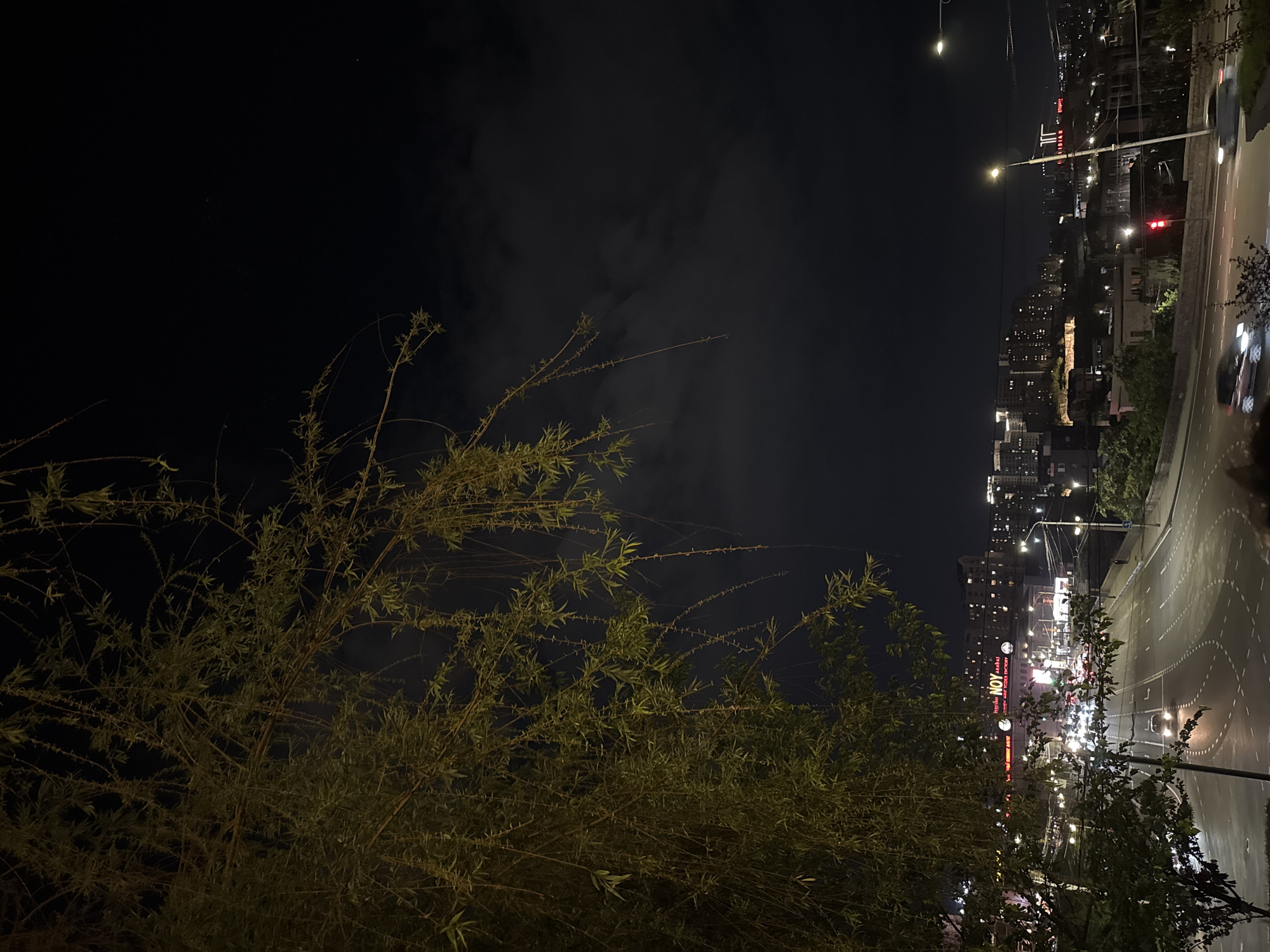This is a nighttime scene in Yerevan, Armenia. The view is from an elevated position, likely a balcony or high ground. In the foreground, there is a bush or a small tree with fine leaves obscuring the view.
In the background, the scene opens up to a cityscape with illuminated buildings. There is a prominent road with streetlights and traffic. The lights of vehicles are visible. A building with illuminated signs in Russian and Armenian reads "NOV" is a focal point in the cityscape.
The sky is mostly dark, with suggestions of cloud cover. The overall atmosphere is urban and nocturnal.