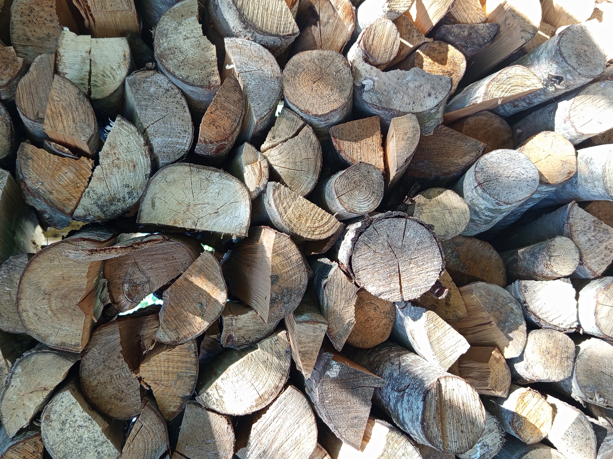 This media file displays a close-up, overhead view of a large, haphazardly stacked pile of chopped firewood. The logs vary in size and shape, with many showing the circular grain patterns characteristic of cut wood. Some pieces are split lengthwise, revealing the wood's texture and color, which ranges from pale beige to a warm brown with darker bark. The firewood is densely packed, creating an irregular surface with shadows and highlights cast by direct sunlight. The sunlight suggests it is daytime, and the overall lighting and shadows indicate a sunny day. There are no people or animals visible. The setting appears to be an outdoor space, likely a yard or storage area, given the presence of firewood. The location context provided is Ostrovtsy, Russia, which contextualizes the scene as a common sight in a region where firewood is used for heating. There is no visible text in the image.