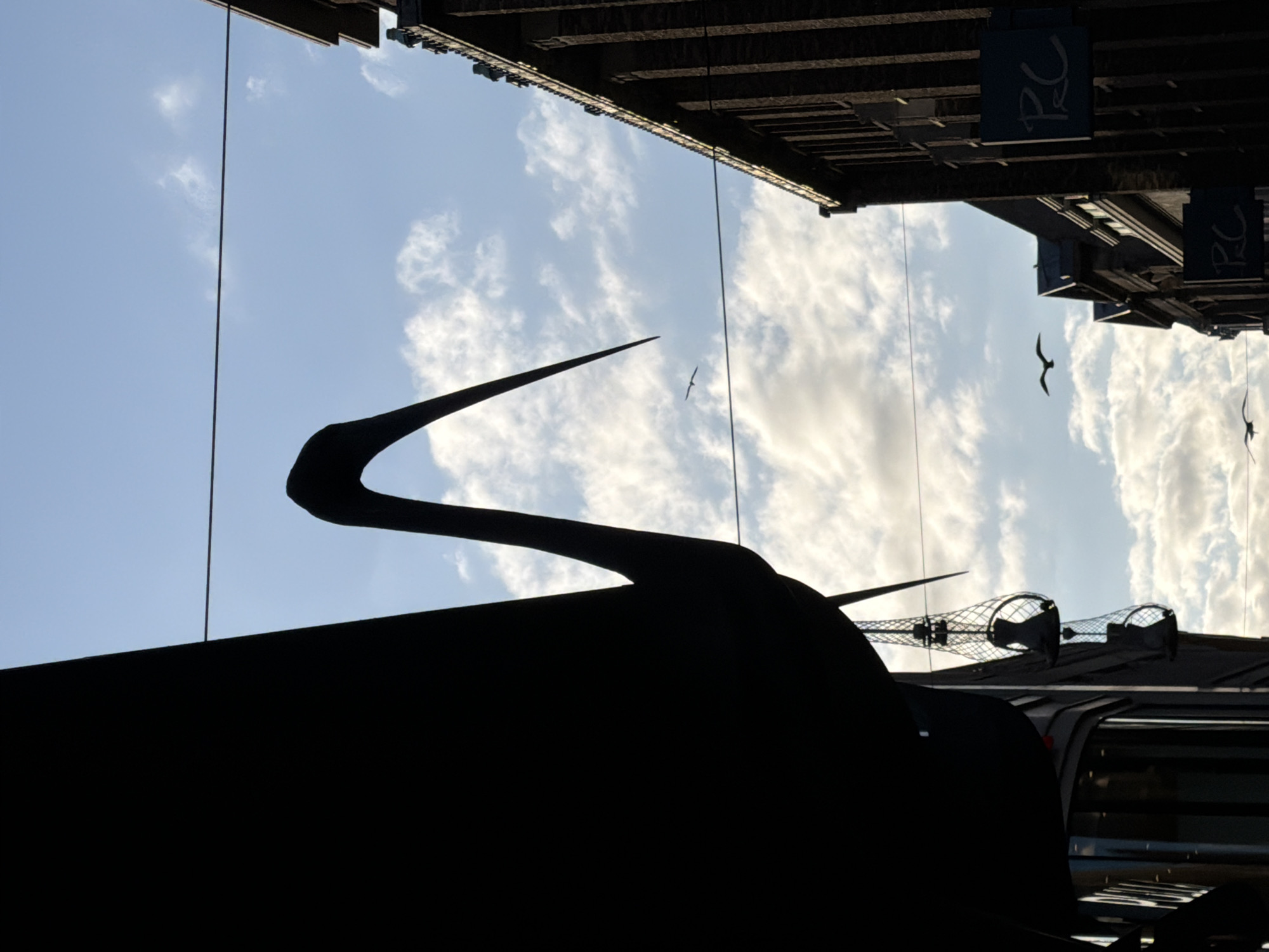 The image captures a portion of the city of The Hague, Netherlands, focusing on a large, dark silhouette of what appears to be a bird sculpture or installation. This silhouette dominates the left side of the frame, its long, curved beak extending upwards and to the right, silhouetted against a bright, cloudy sky. Below the sculpture, in the middle ground, a series of wire cages are suspended, some containing dark, abstract shapes.
To the right of the sculpture, the facade of a modern building is visible. The building is constructed with dark brick and features vertical architectural elements. Several blue signs with white lettering, possibly logos or branding, are mounted on the facade. The sky is a mix of blue and white clouds, with two birds in flight captured in the mid-ground. Power lines are visible stretching across the frame, intersecting with the sky and the objects within the scene. The perspective suggests the photo was taken from a street-level viewpoint, looking upwards.