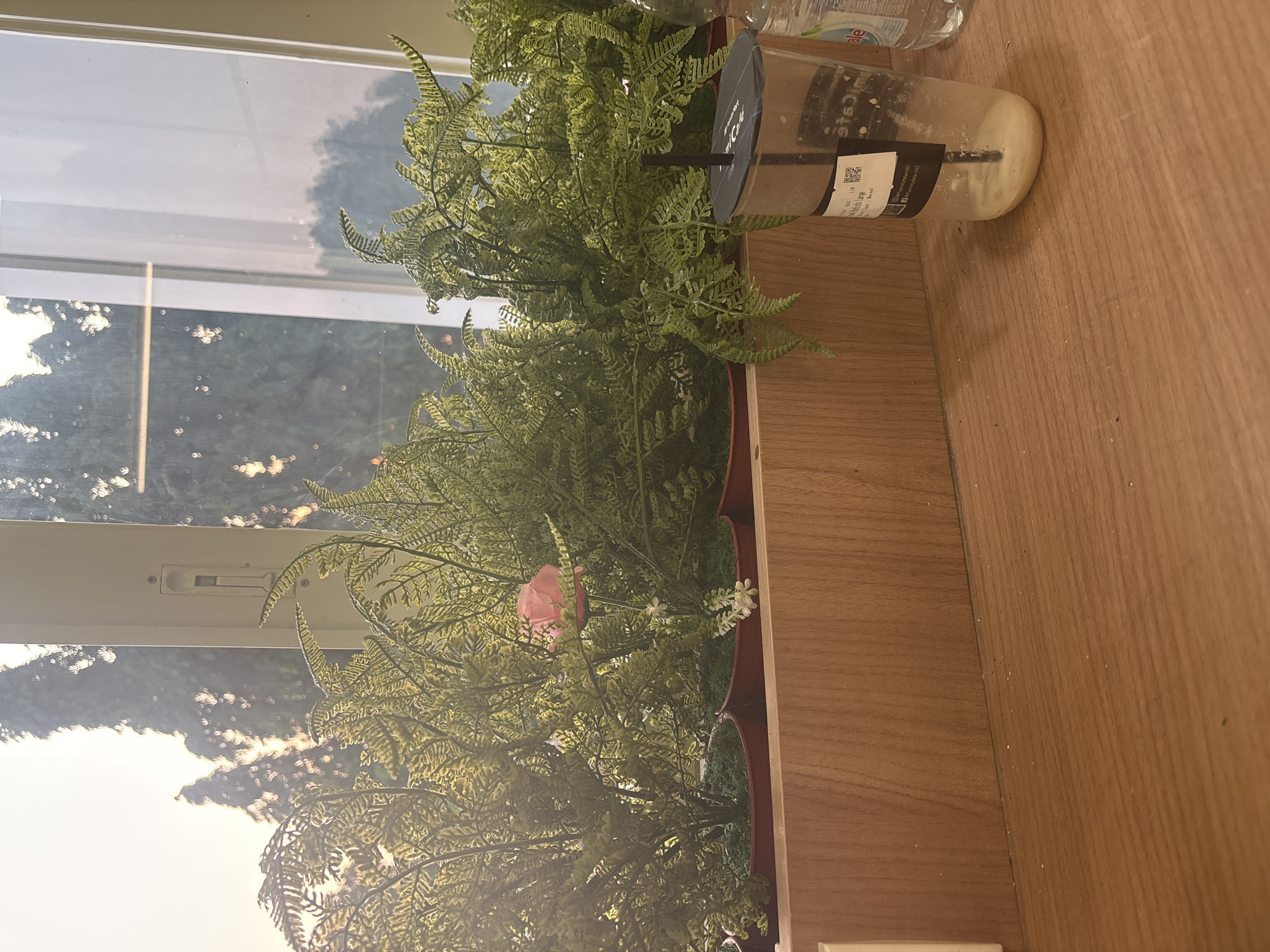 The image depicts an indoor scene, likely a windowsill, with several artificial fern plants arranged in red planters. A single artificial pink flower is visible amidst the greenery. To the right, there is a clear plastic cup with a black lid and straw, containing a light-colored beverage and some remnants at the bottom. The cup has a label with Korean text and QR codes. Behind the plants and cup, a window offers a view of trees and the sky during what appears to be sunset or sunrise, with sunlight casting a warm glow. The windowsill is made of light-colored wood. The scene appears to be set in a location within East Jakarta, Indonesia, likely an office or residential building given the indoor setting and view. No individuals are present in the image, and no specific actions or interactions are depicted.